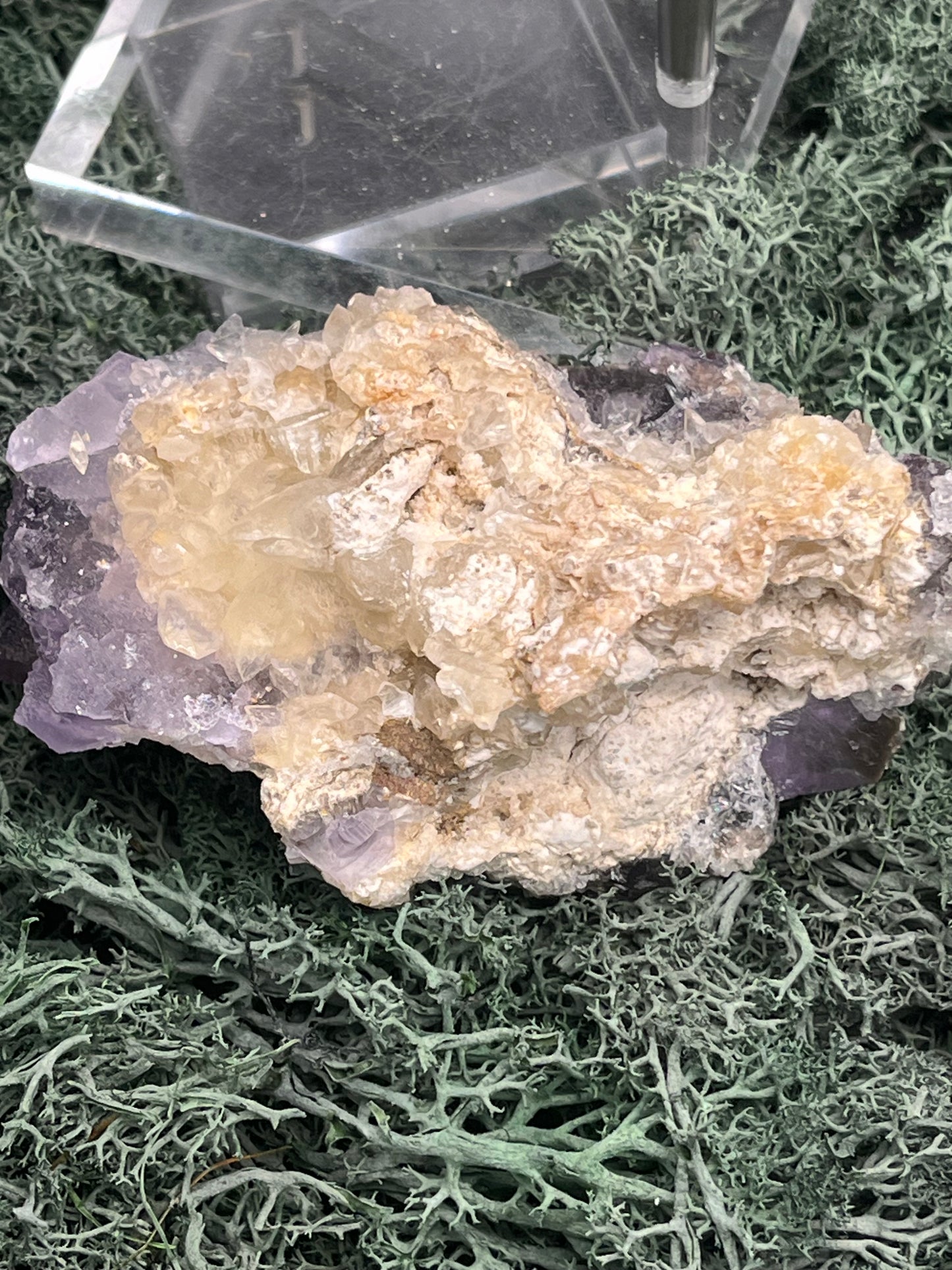 Violetter Fluorit aus Mexiko mit weissen Quarz Anlagerungen (252g) - Handstufe mit sehr grossen und dunklen Fluoritwürfeln - crystal paradise