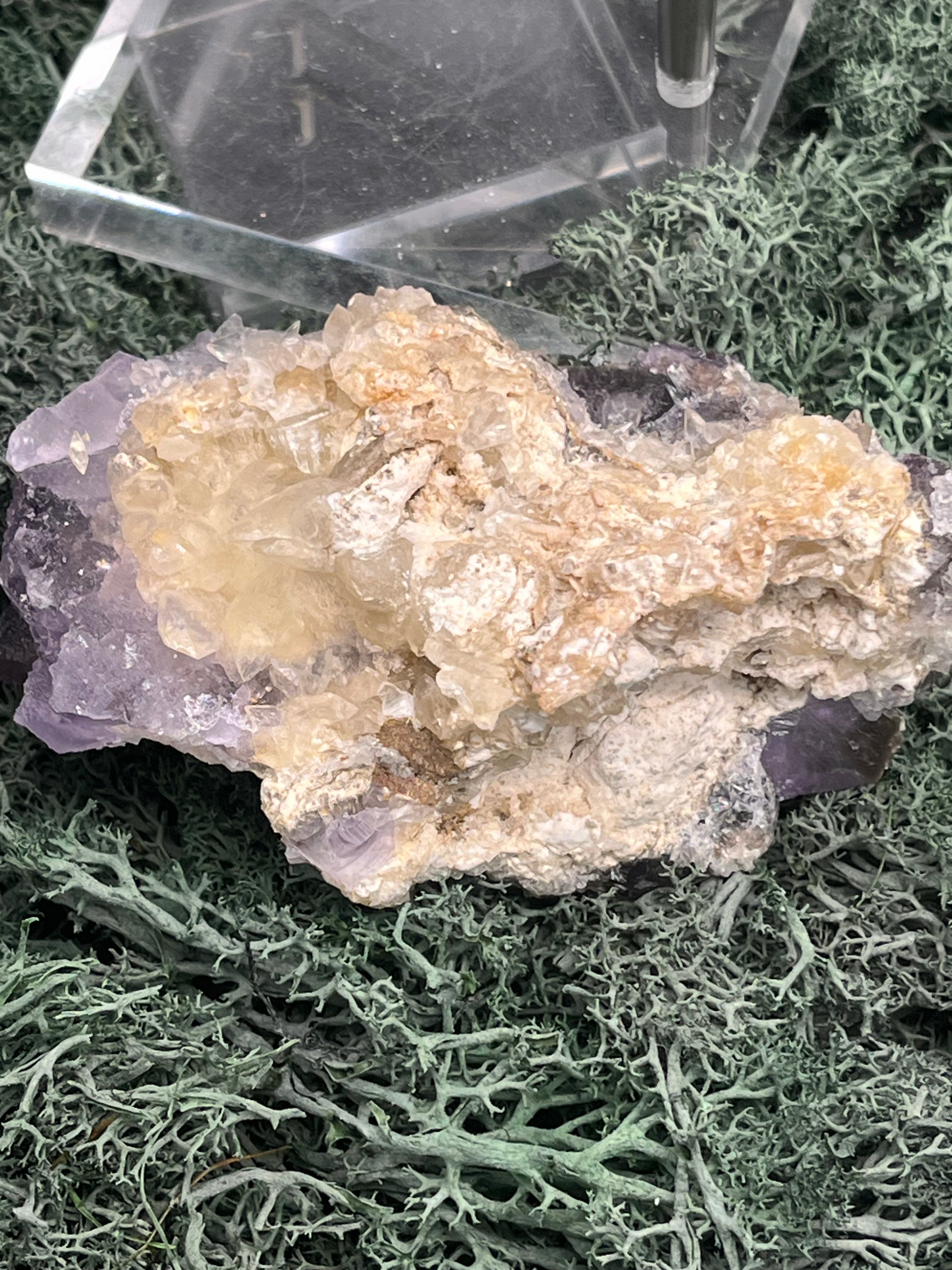 Violetter Fluorit aus Mexiko mit weissen Quarz Anlagerungen (252g) - Handstufe mit sehr grossen und dunklen Fluoritwürfeln - crystal paradise