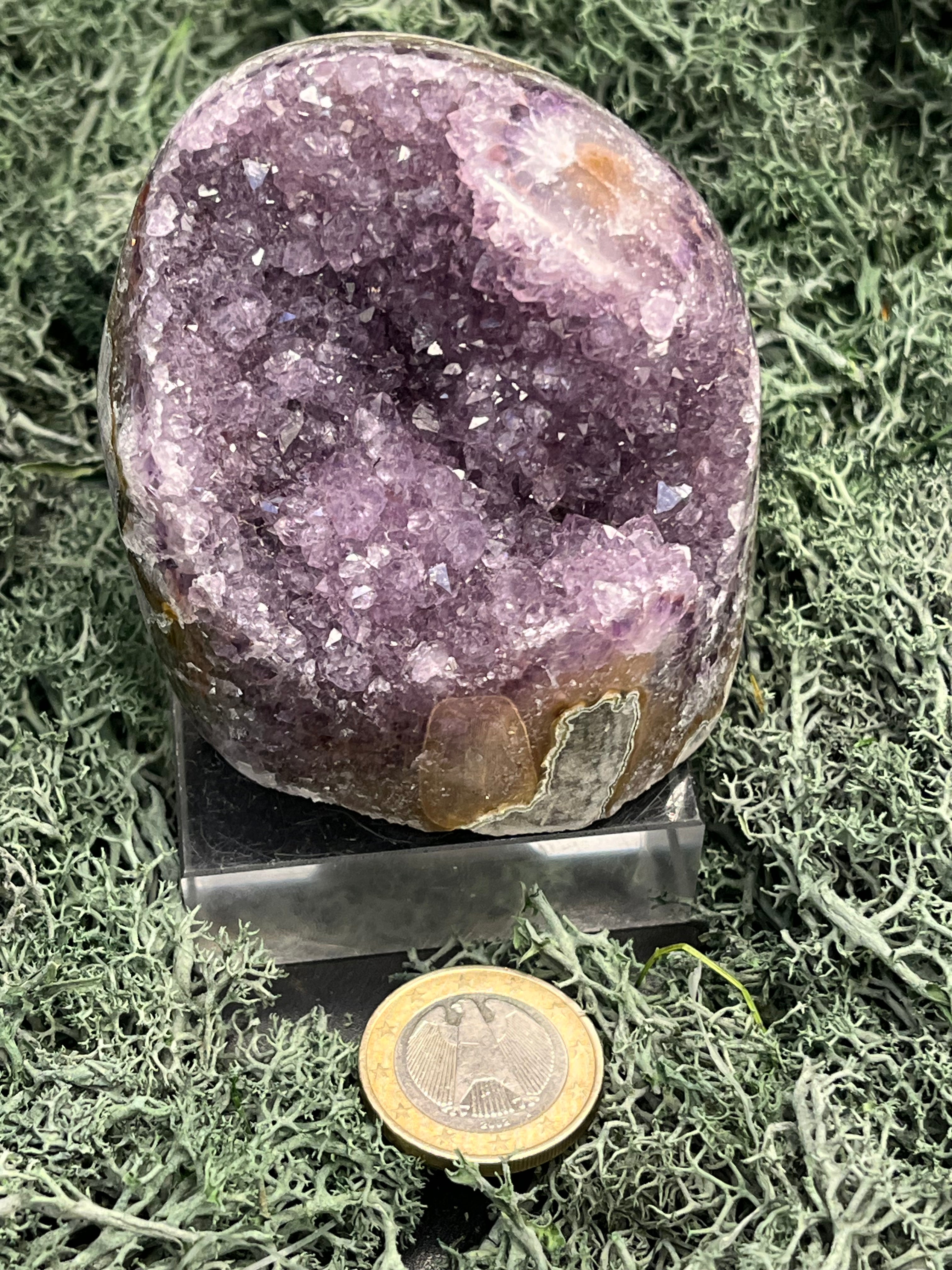Achatisierte Amethyst Druse aus Uruguay (294g) - schöne Achatisierung und Druzy - crystal paradise
