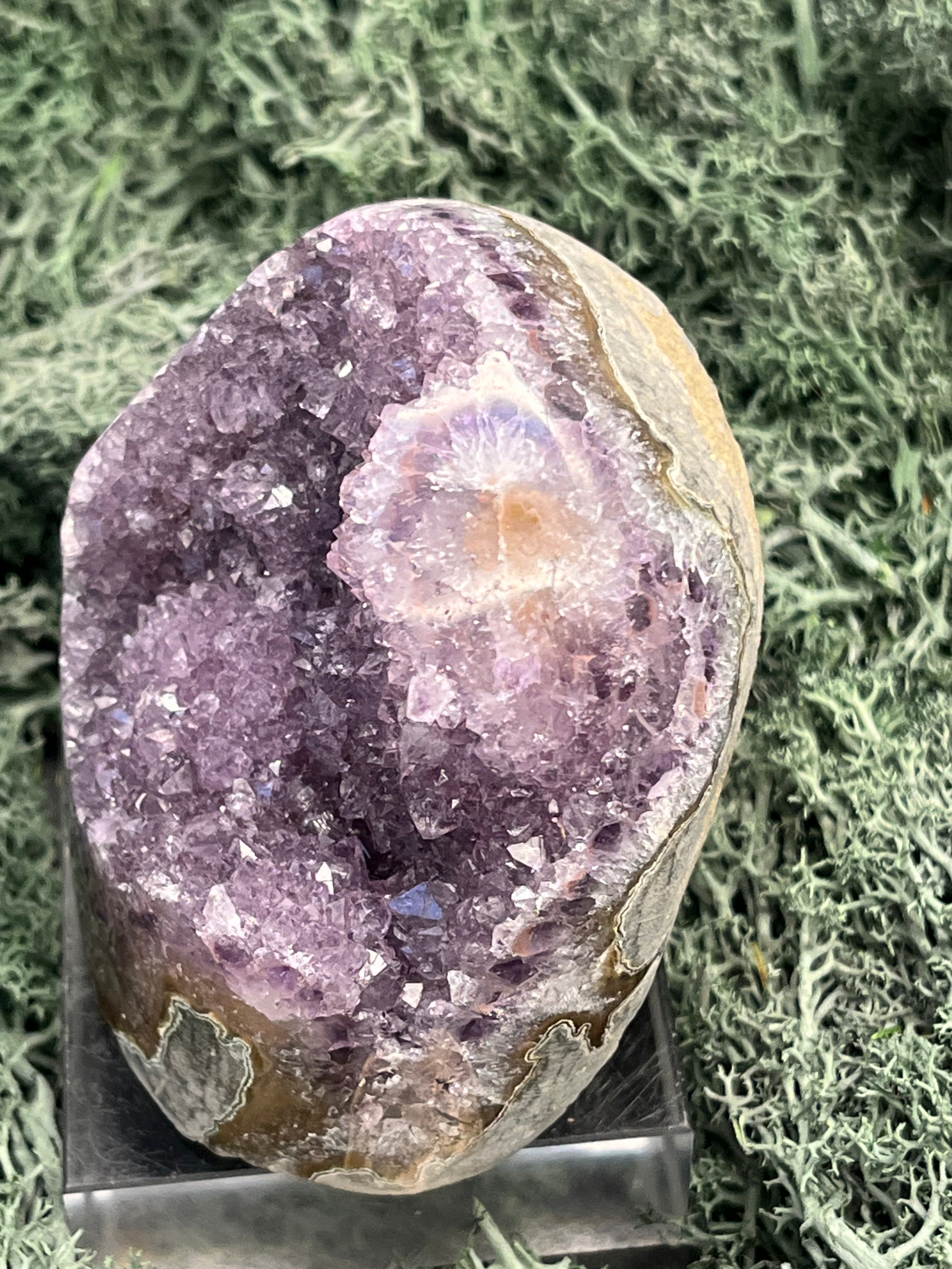 Achatisierte Amethyst Druse aus Uruguay (294g) - schöne Achatisierung und Druzy - crystal paradise