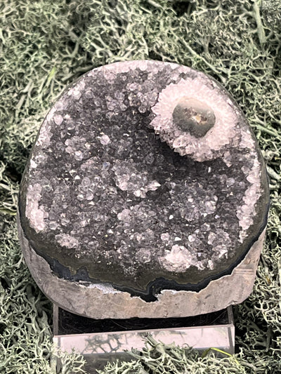 Achatisierte Amethyst Druse aus Uruguay (310g) - schöne helle Kristalle und tolle Achatisierung - crystal paradise