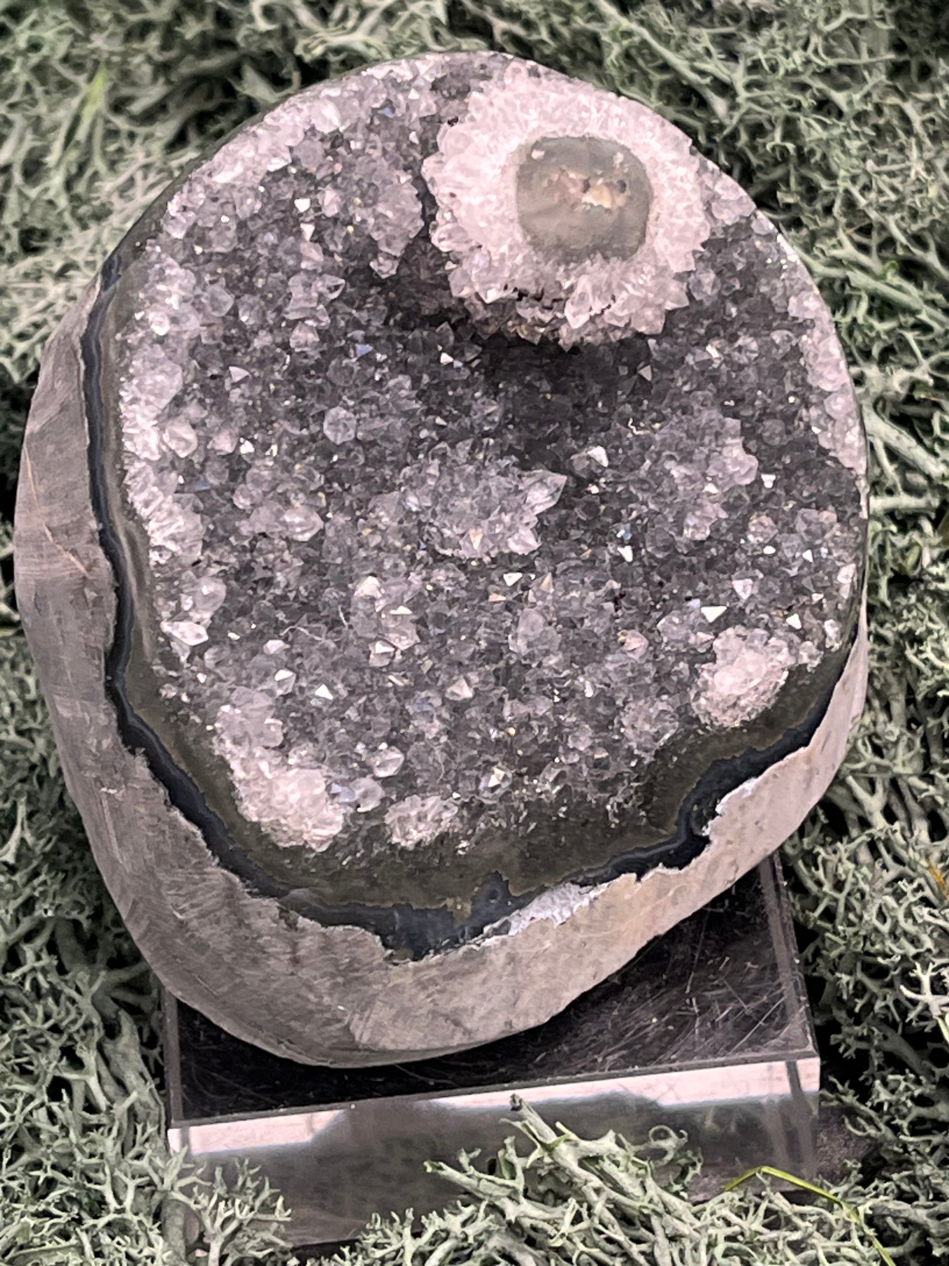 Achatisierte Amethyst Druse aus Uruguay (310g) - schöne helle Kristalle und tolle Achatisierung - crystal paradise