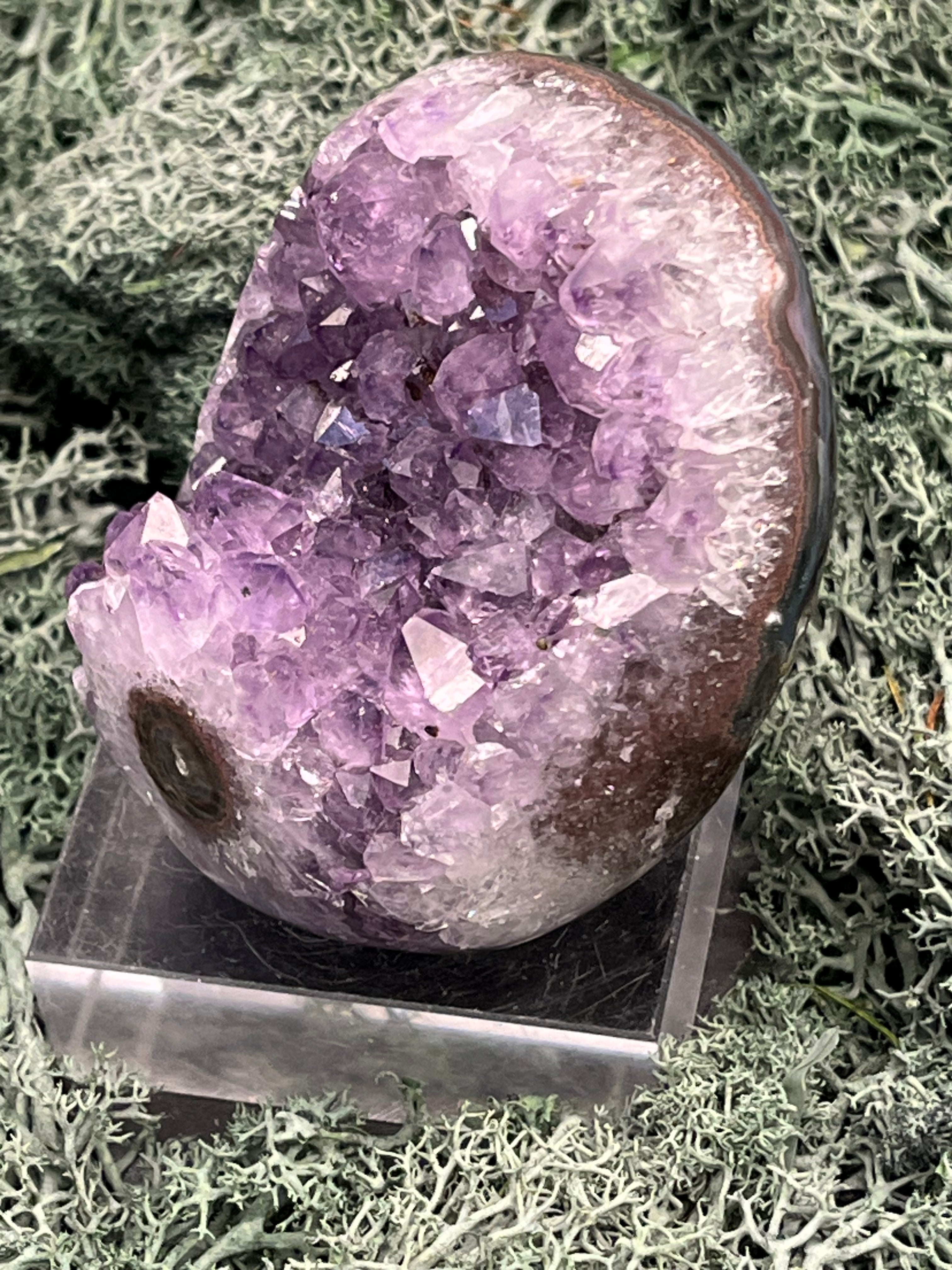 Achatisierte Amethyst Druse aus Uruguay (215g) - schöne Achatblume - crystal paradise