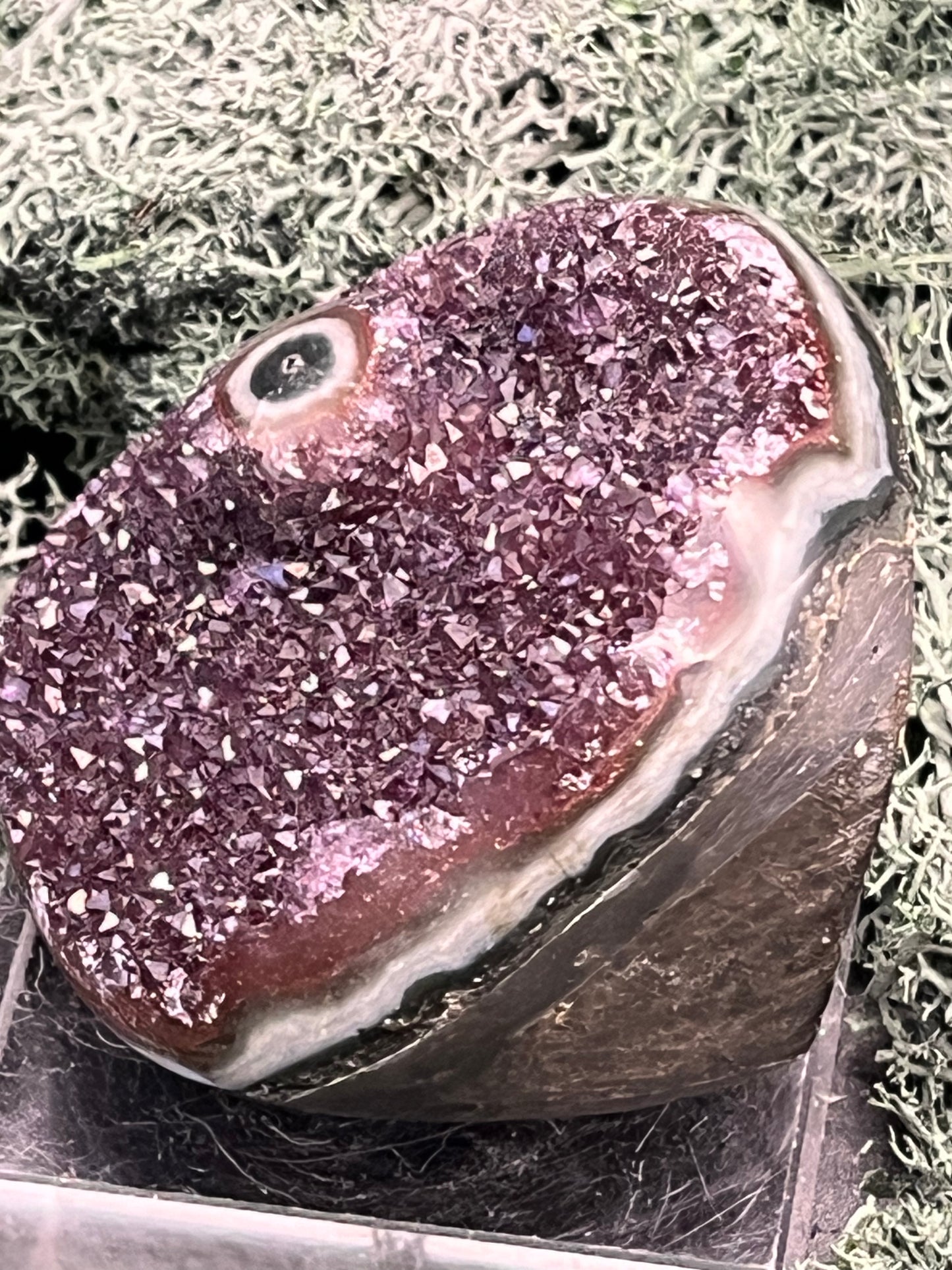 Achatisierte Amethyst Druse aus Uruguay (155g) - schöne dunkle Kristalle und Achatisierung - crystal paradise