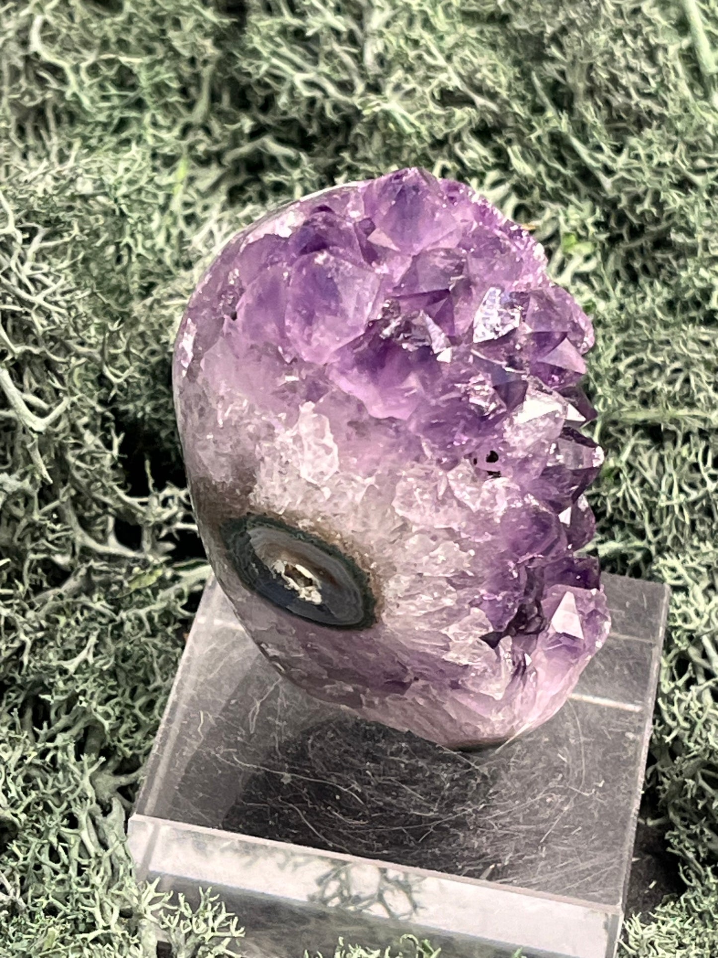 Achatisierte Amethyst Druse aus Uruguay (147g) - schöne dunkle Kristalle - crystal paradise