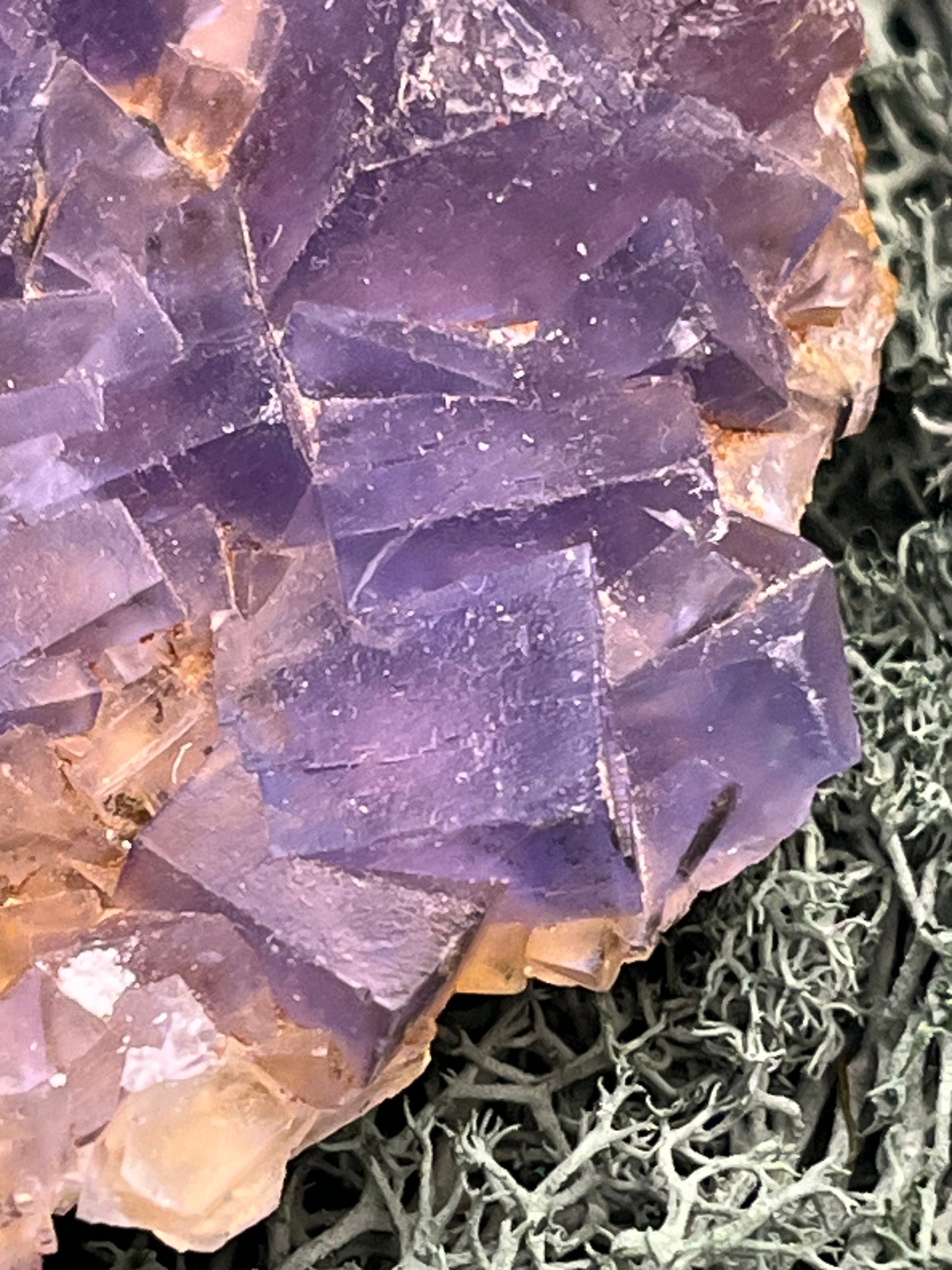 Fluorit Stufe aus Baluchistan/Pakistan (164g) - Platte mit vielen dunklen Kristallwürfeln auf Muttergestein - crystal paradise