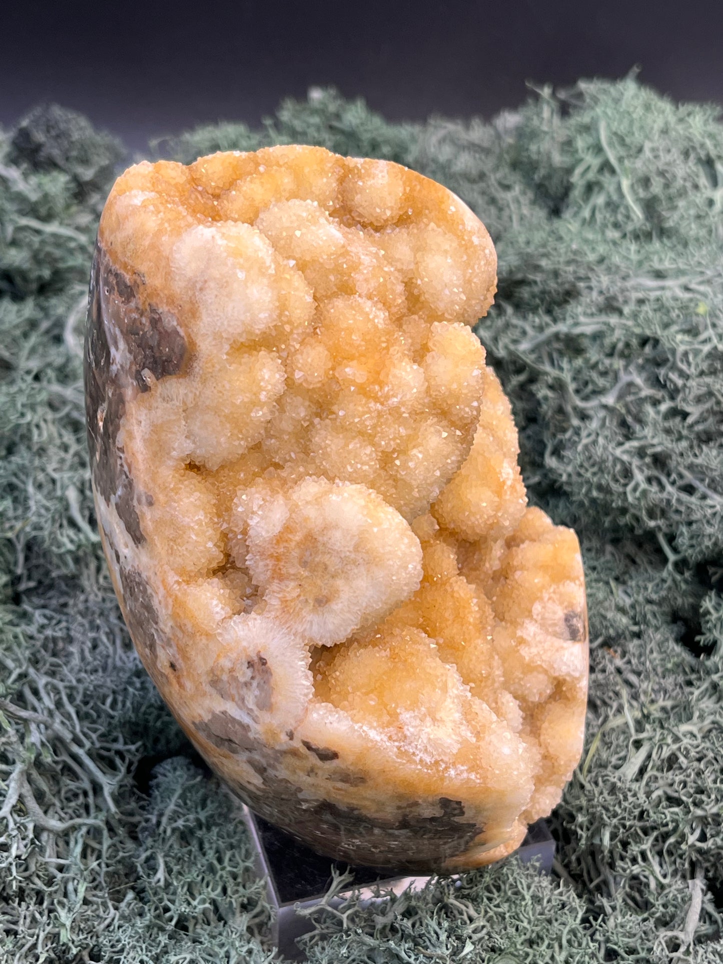 Gold-/beigefarbene Calcit Druzy Freeform aus Pakistan (978g) - super schöne Kugelkristalle und Druzys - crystal paradise