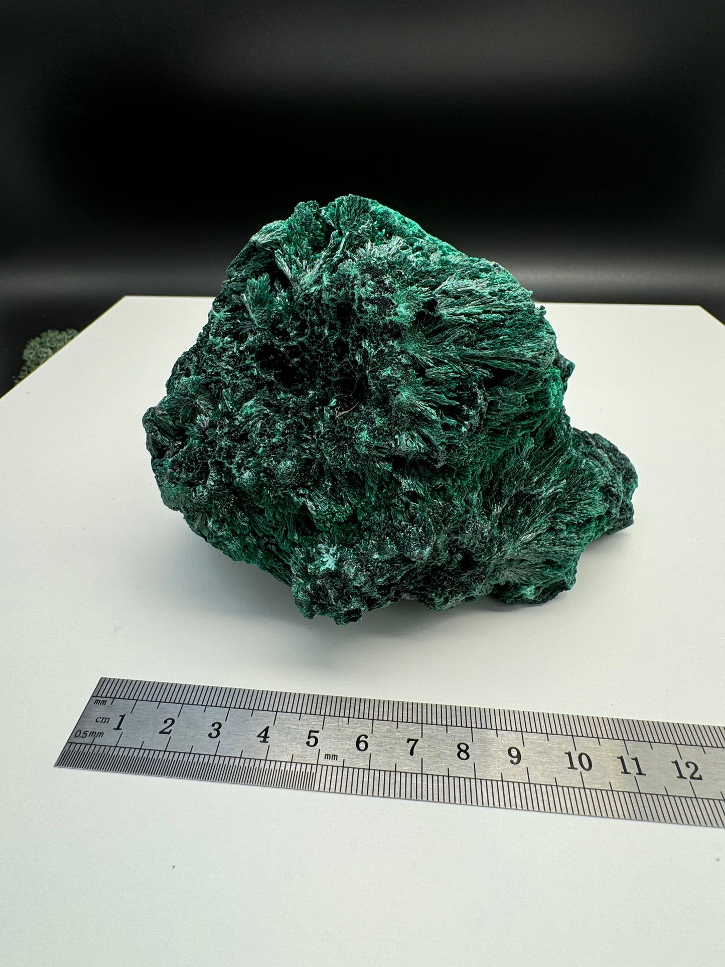 Malachit (fibrös) Großstufe aus dem Kongo (937g) - tiefgrün - crystal paradise