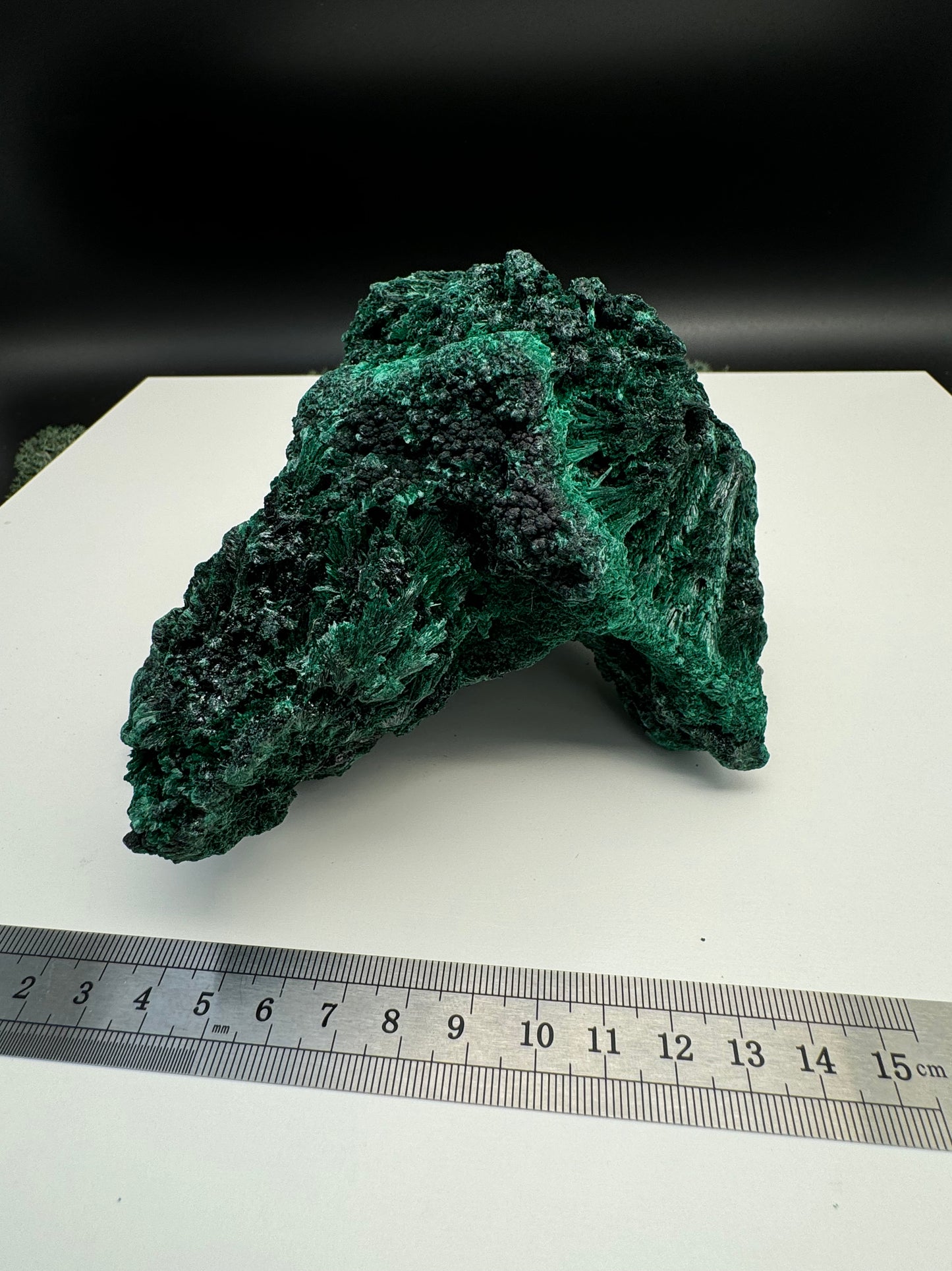 Malachit (fibrös) Großstufe aus dem Kongo (937g) - tiefgrün - crystal paradise