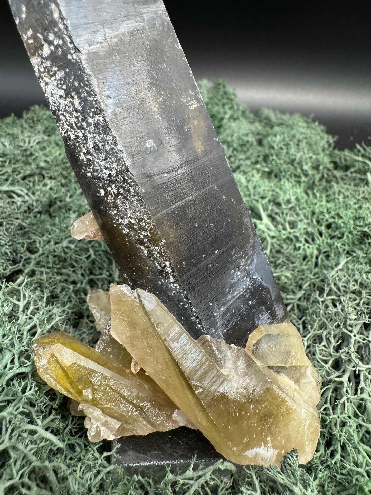 Rauchquarz Stufe aus Brasilien (252g) - schöner großer Kristall - crystal paradise