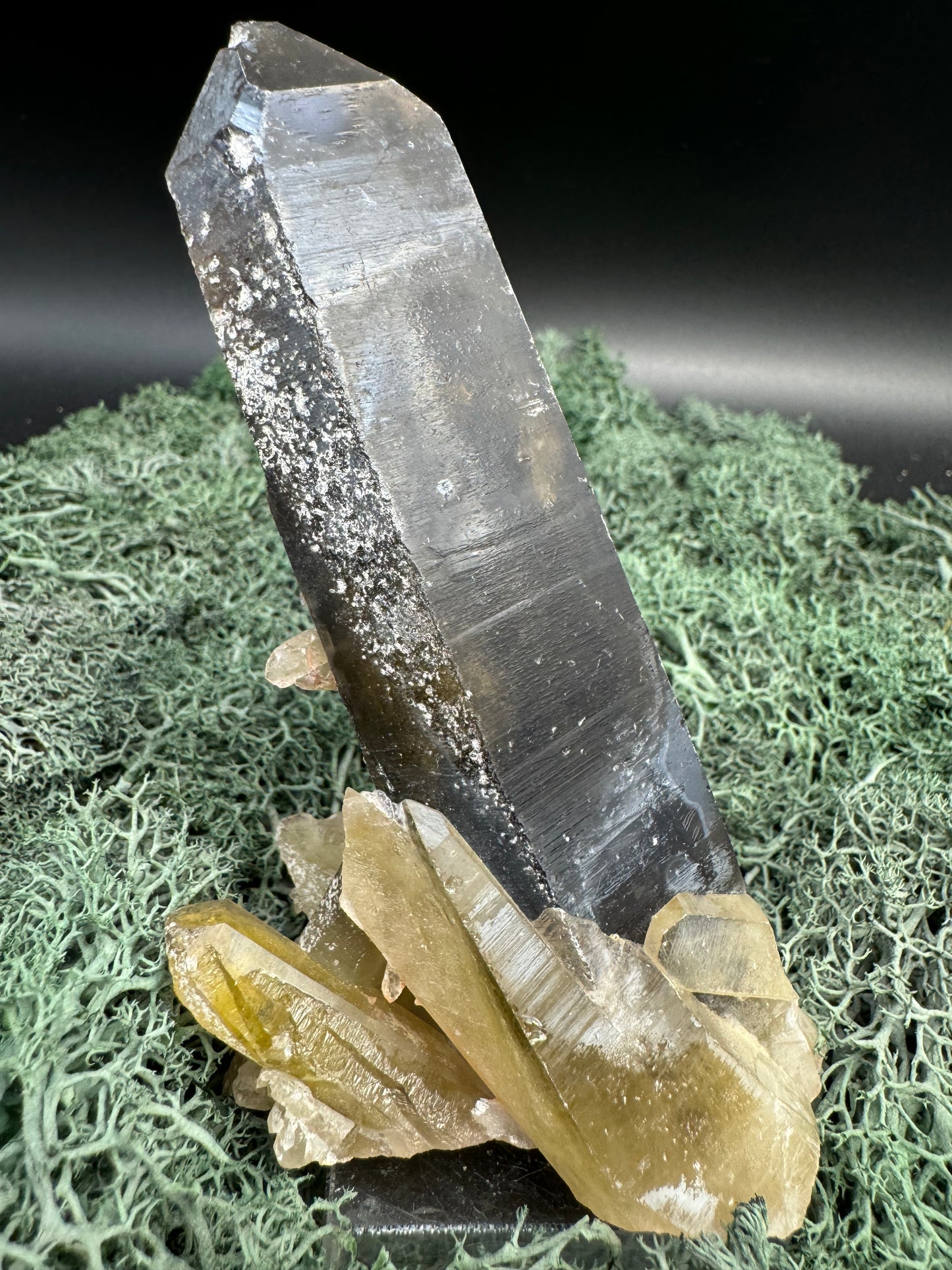 Rauchquarz Stufe aus Brasilien (252g) - schöner großer Kristall - crystal paradise