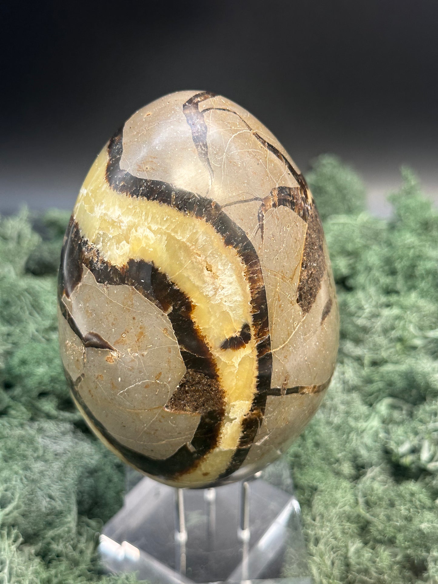 Septarie Ei (1052g) - gross mit schönen Druzys - crystal paradise