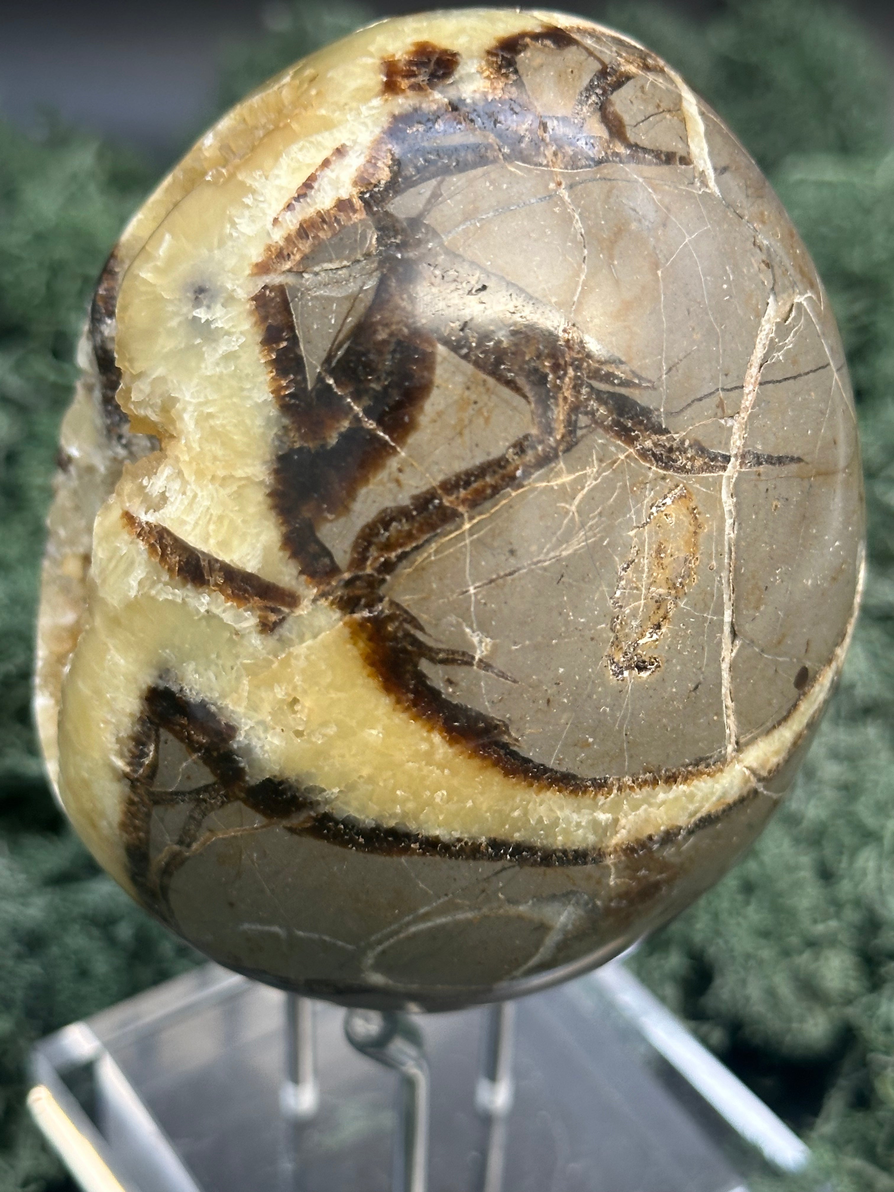 Septarie Ei (561g) - gross mit sehr schöne Druzys - crystal paradise