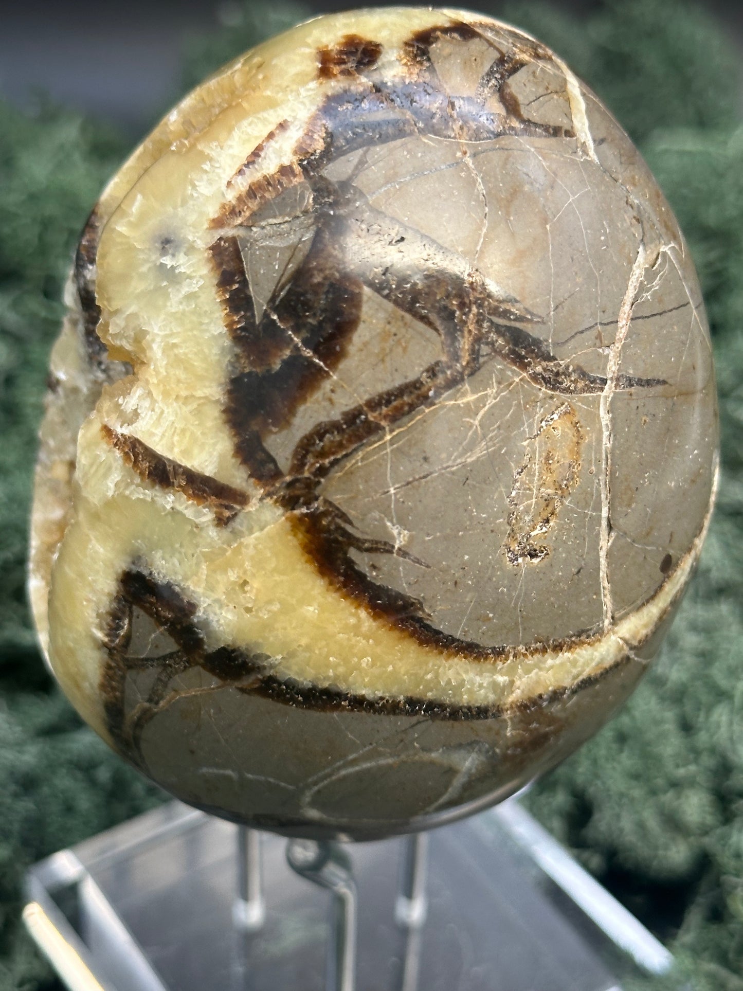 Septarie Ei (561g) - gross mit sehr schöne Druzys - crystal paradise