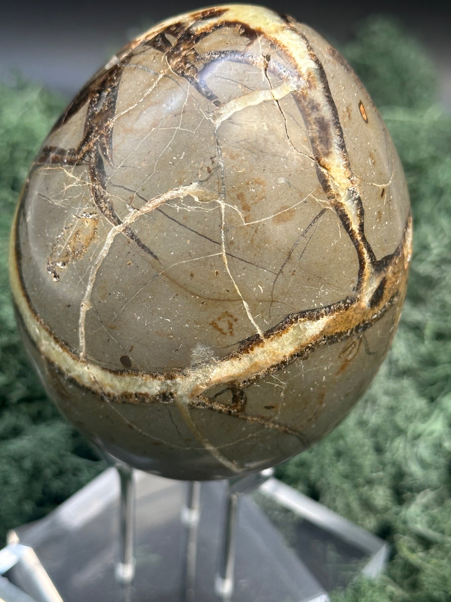 Septarie Ei (561g) - gross mit sehr schöne Druzys - crystal paradise