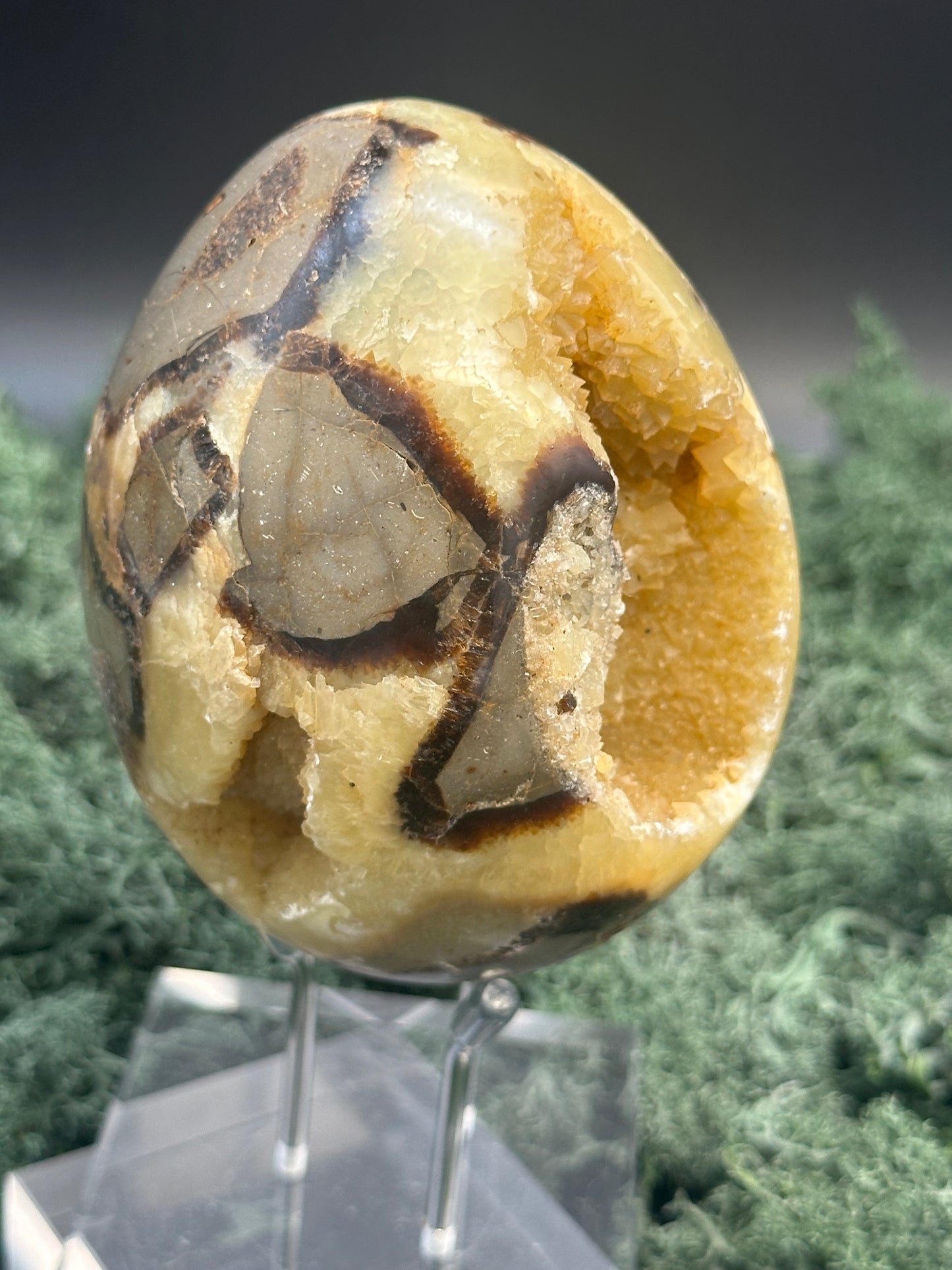 Septarie Ei (561g) - gross mit sehr schöne Druzys - crystal paradise