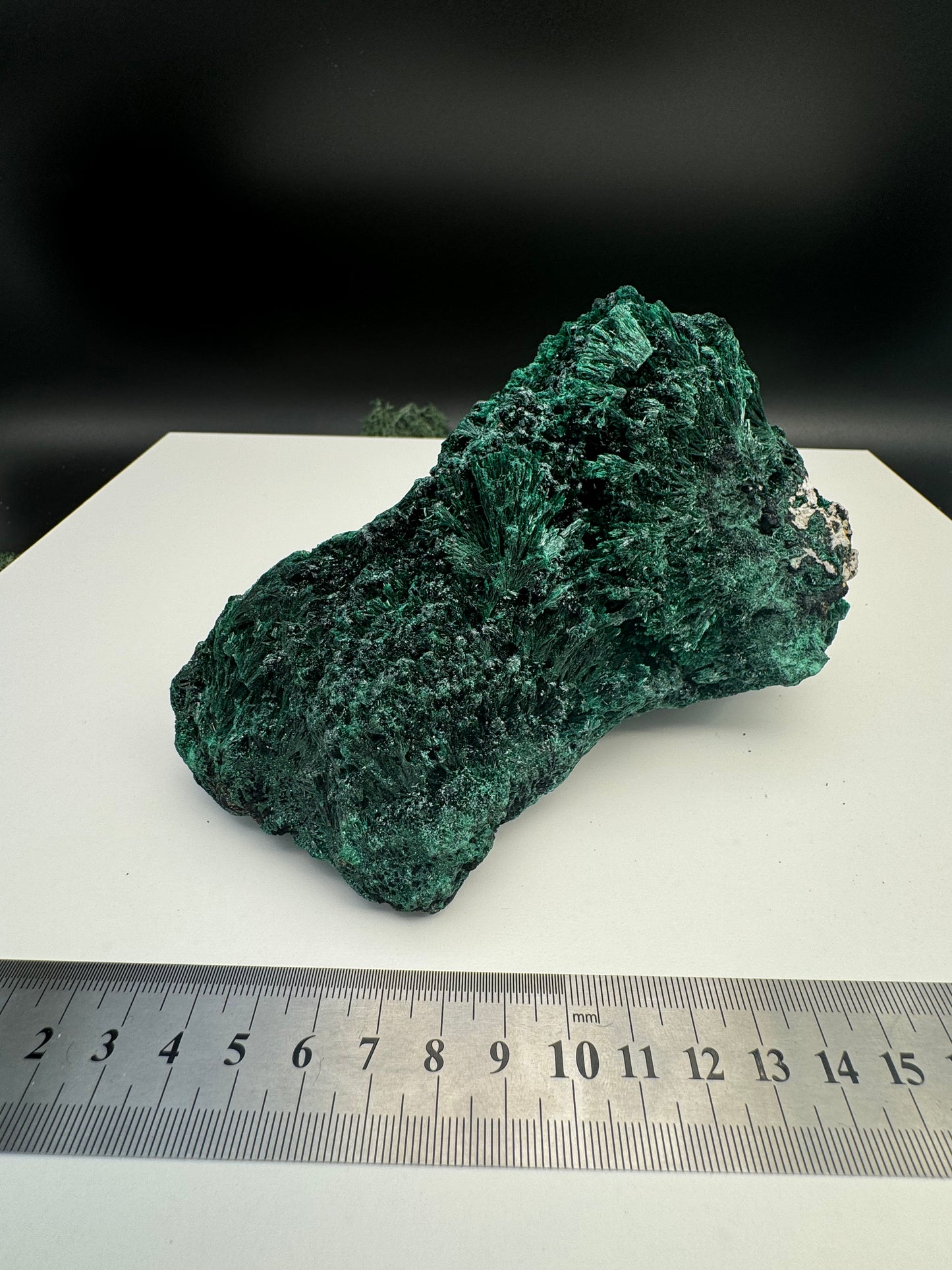 Malachit (fibrös) Großstufe aus dem Kongo (934g) - tiefgrün - crystal paradise