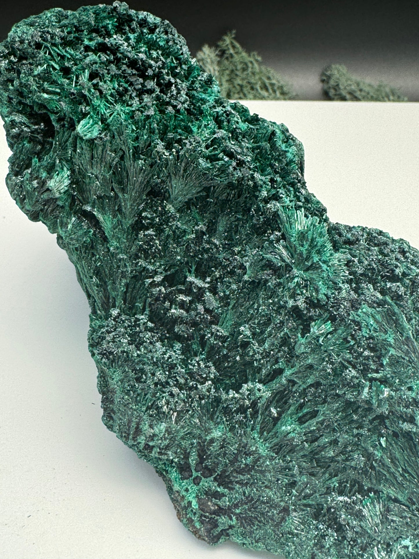 Malachit (fibrös) Großstufe aus dem Kongo (934g) - tiefgrün - crystal paradise