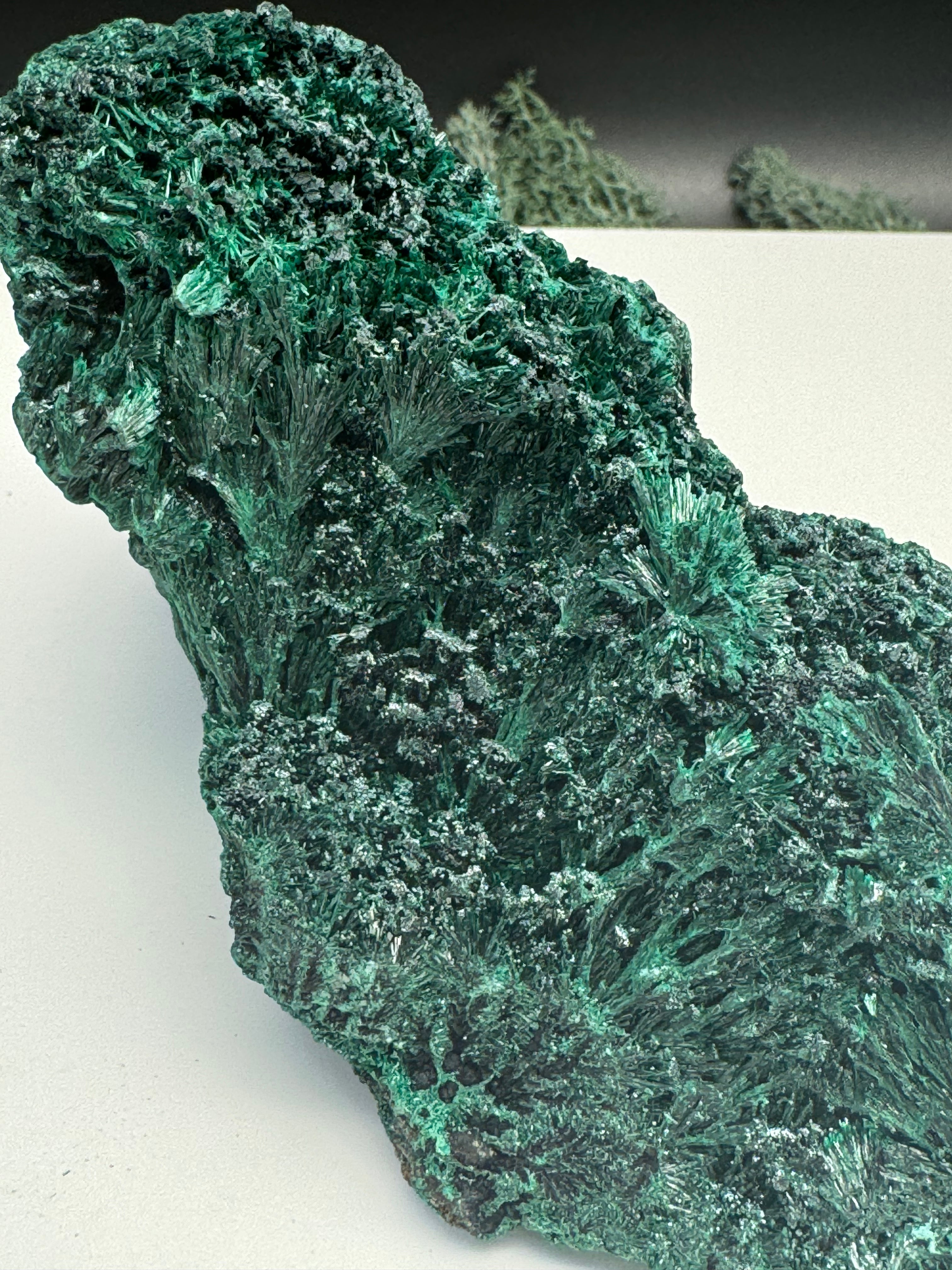 Malachit (fibrös) Großstufe aus dem Kongo (934g) - tiefgrün - crystal paradise