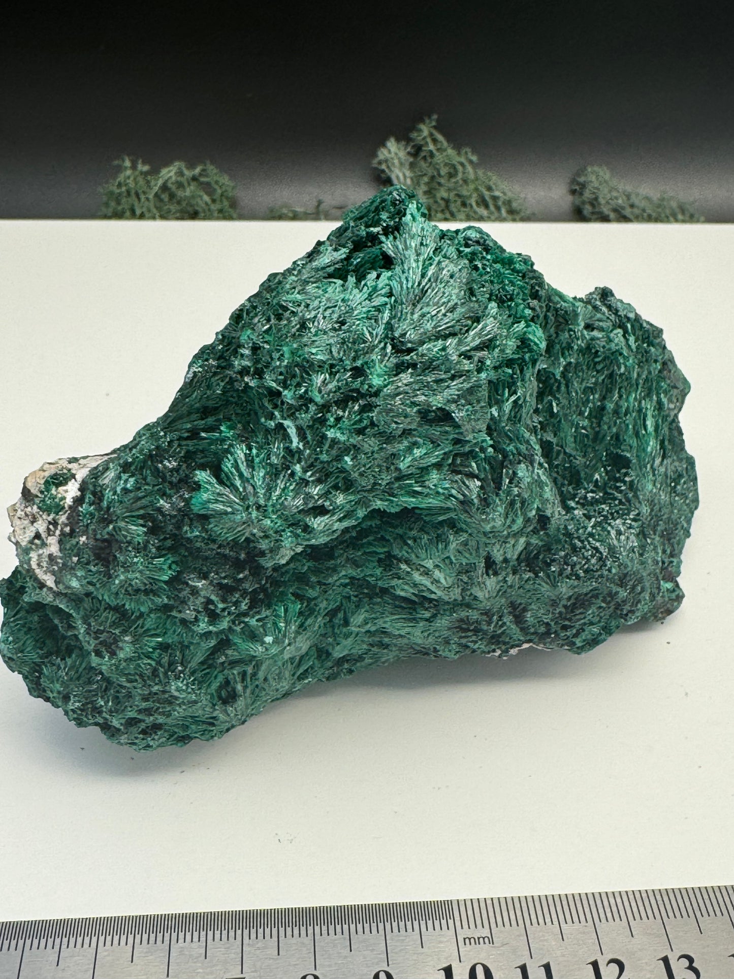 Malachit (fibrös) Großstufe aus dem Kongo (934g) - tiefgrün - crystal paradise