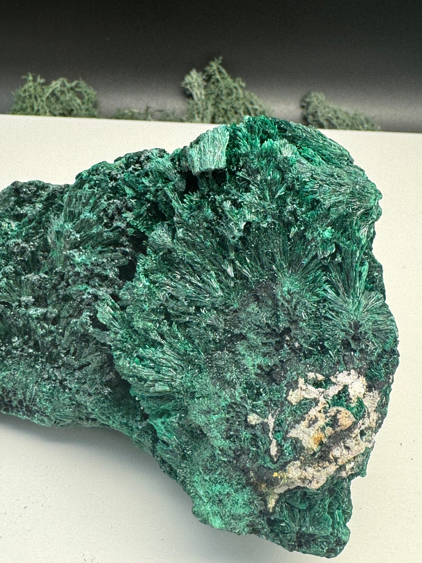 Malachit (fibrös) Großstufe aus dem Kongo (934g) - tiefgrün - crystal paradise