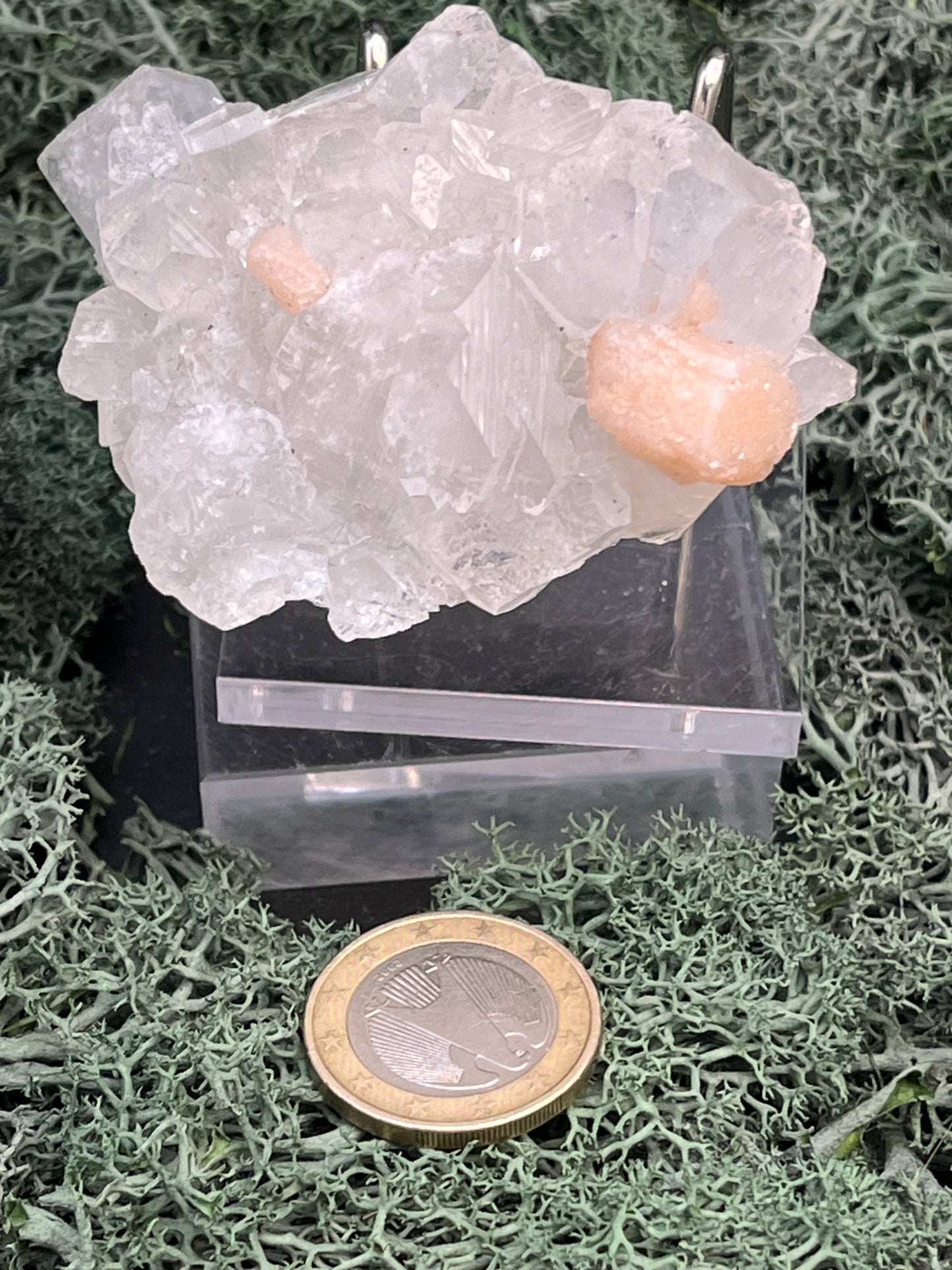 Apophyllit Stilbit Cluster aus Indien (96g) - crystal paradise