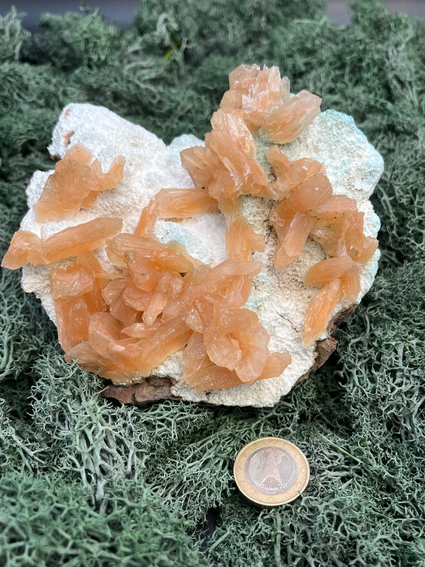 Stilbit Cluster gross auf Zeolith aus Indien (630g) - viele grosse Kristalle - crystal paradise