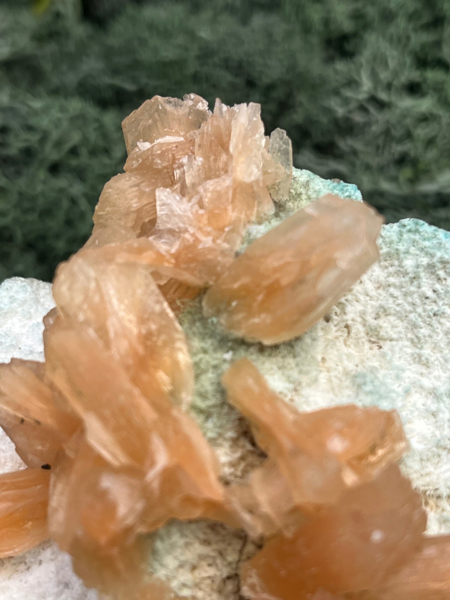 Stilbit Cluster gross auf Zeolith aus Indien (630g) - viele grosse Kristalle - crystal paradise