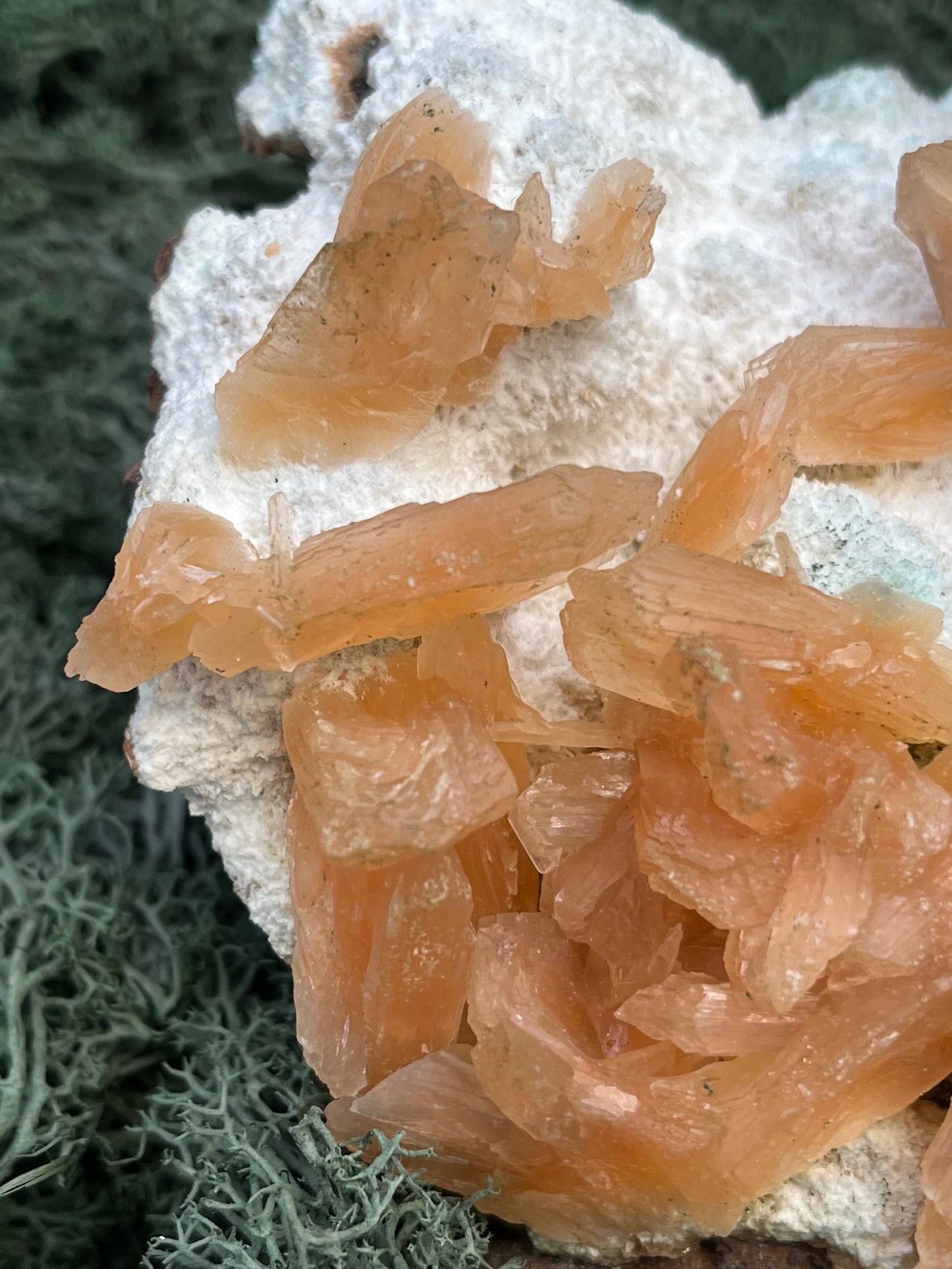 Stilbit Cluster gross auf Zeolith aus Indien (630g) - viele grosse Kristalle - crystal paradise