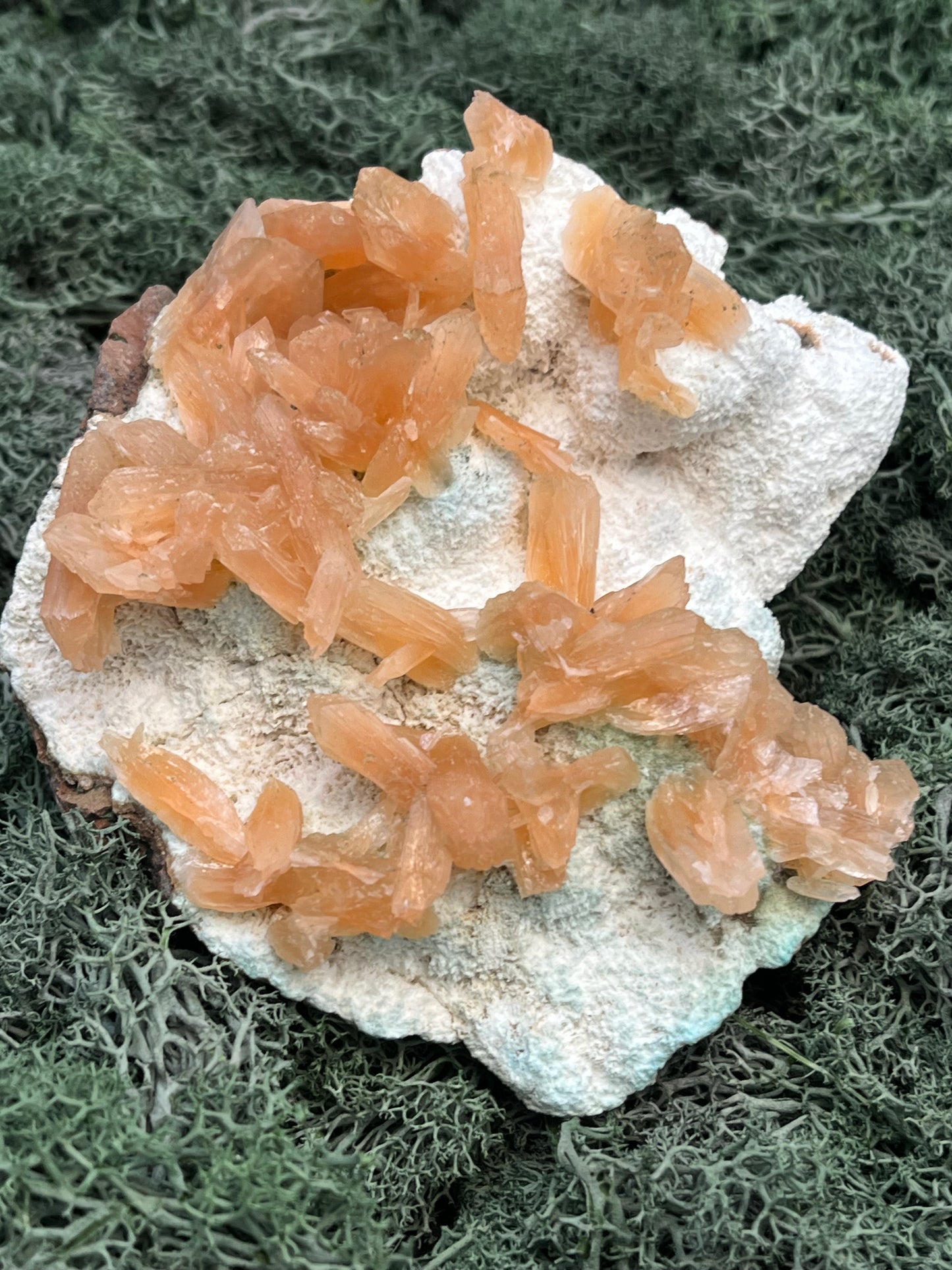 Stilbit Cluster gross auf Zeolith aus Indien (630g) - viele grosse Kristalle - crystal paradise
