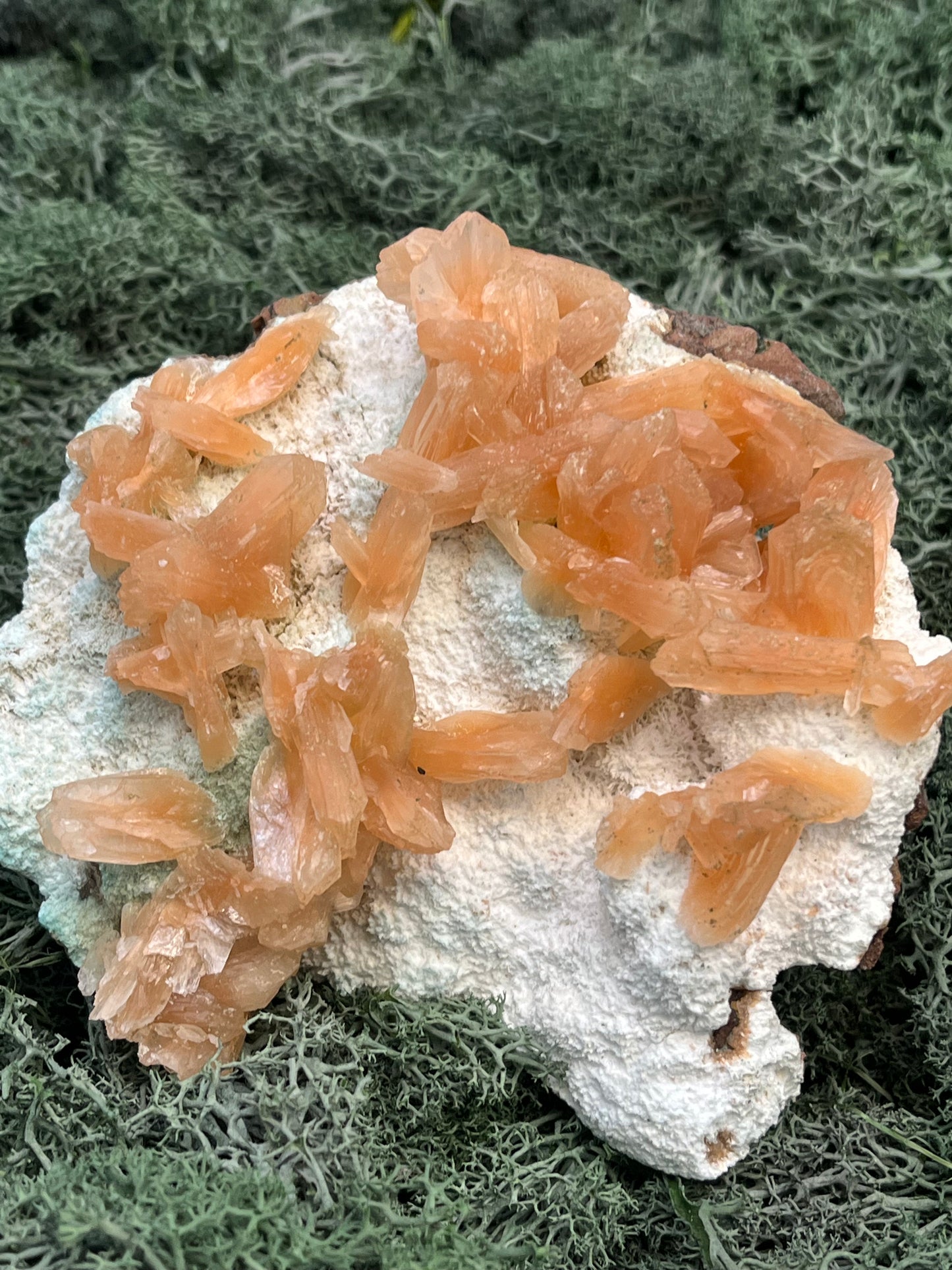 Stilbit Cluster gross auf Zeolith aus Indien (630g) - viele grosse Kristalle - crystal paradise
