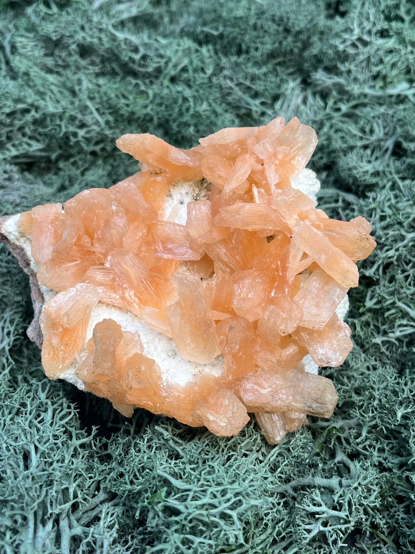 Stilbit Cluster Handstufe auf Zeolith aus Indien (273g) - viele grosse Kristalle - crystal paradise