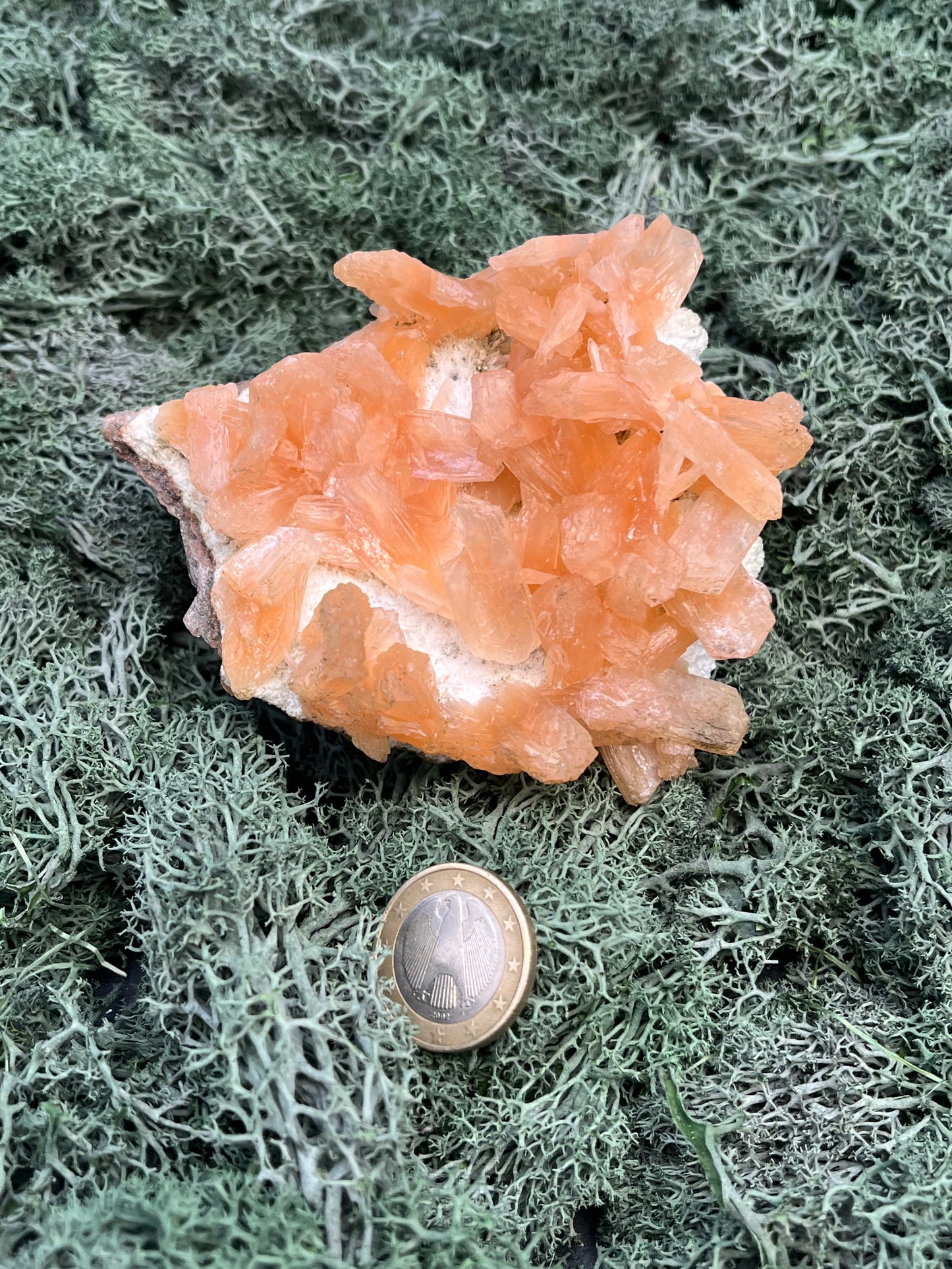 Stilbit Cluster Handstufe auf Zeolith aus Indien (273g) - viele grosse Kristalle - crystal paradise