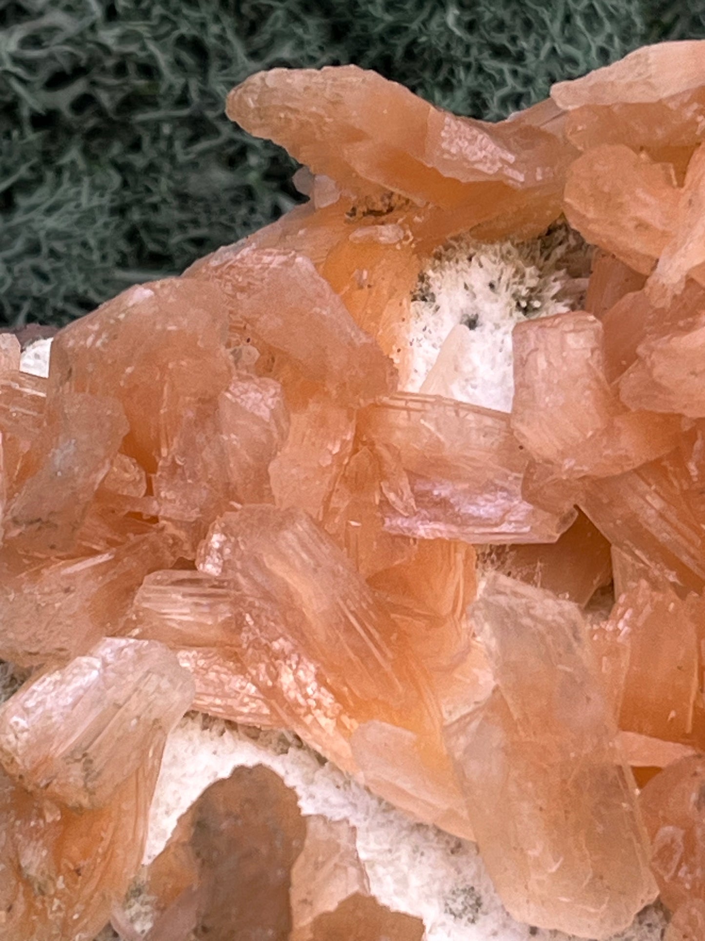 Stilbit Cluster Handstufe auf Zeolith aus Indien (273g) - viele grosse Kristalle - crystal paradise