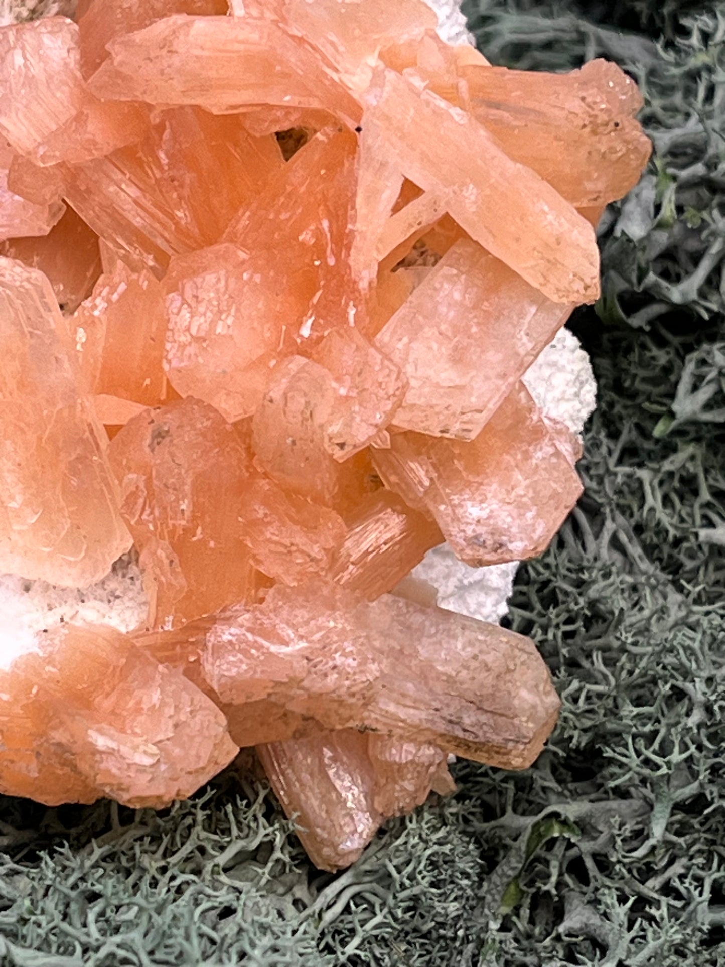 Stilbit Cluster Handstufe auf Zeolith aus Indien (273g) - viele grosse Kristalle - crystal paradise