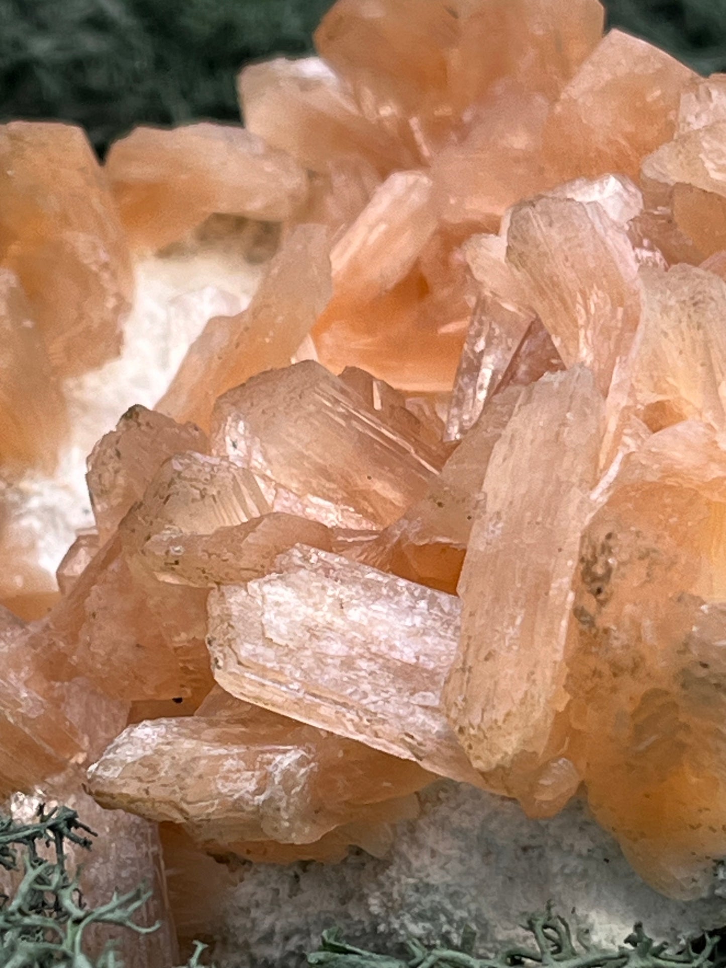 Stilbit Cluster Handstufe auf Zeolith aus Indien (273g) - viele grosse Kristalle - crystal paradise