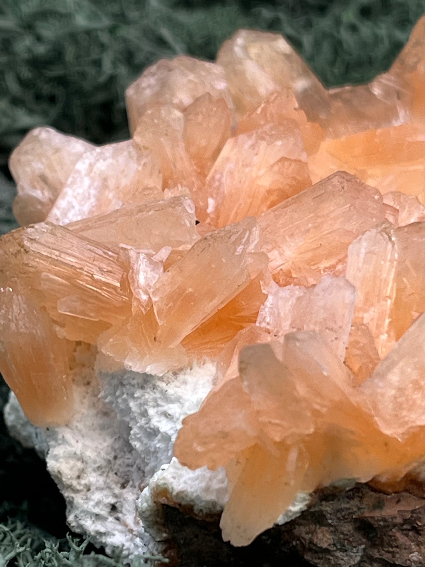 Stilbit Cluster Handstufe auf Zeolith aus Indien (273g) - viele grosse Kristalle - crystal paradise