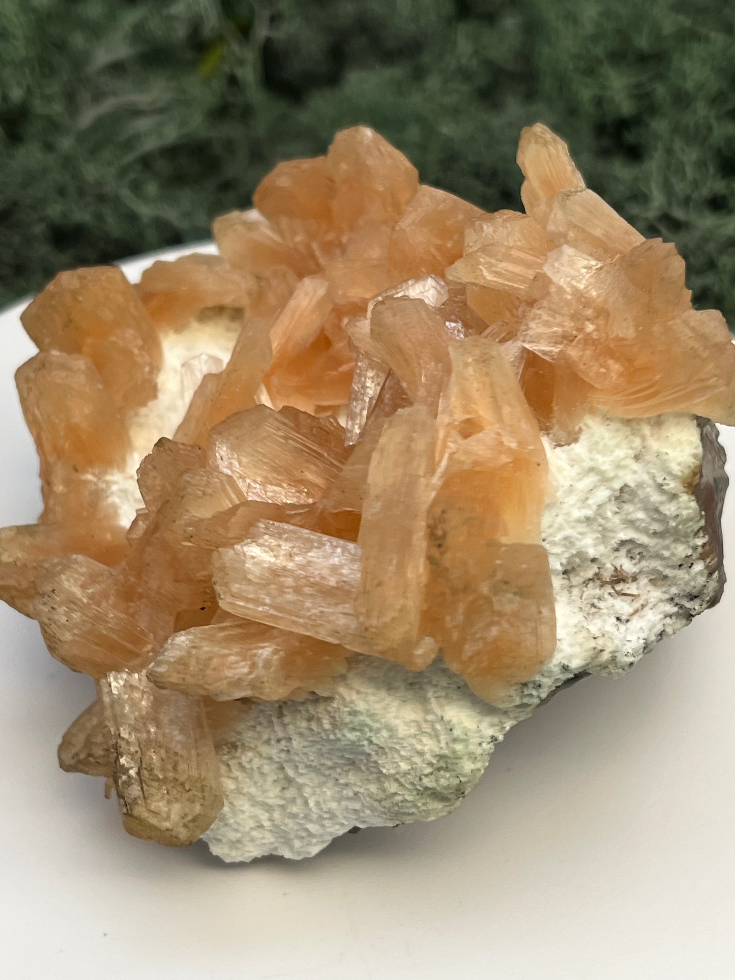 Stilbit Cluster Handstufe auf Zeolith aus Indien (273g) - viele grosse Kristalle - crystal paradise