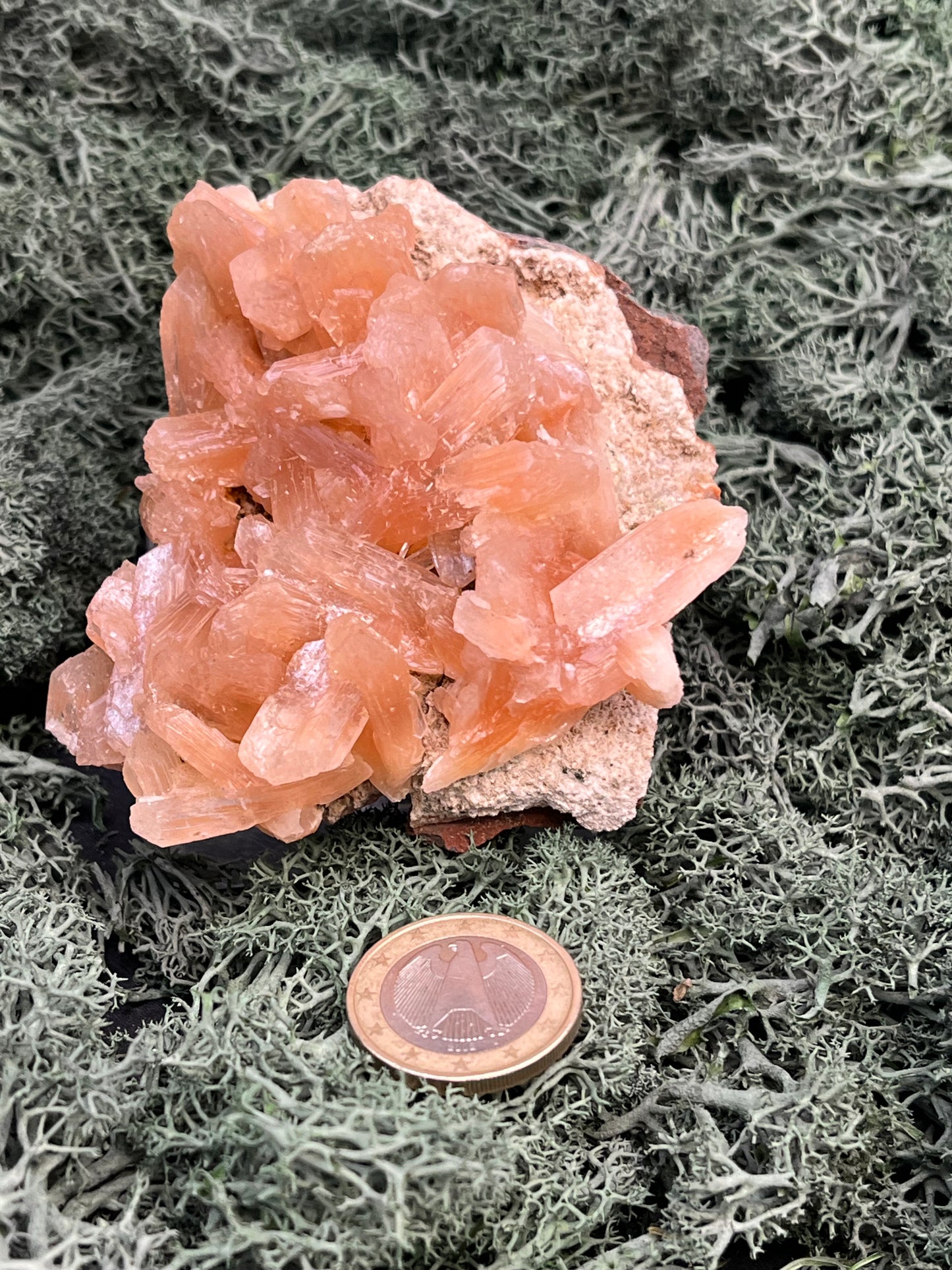 Stilbit Cluster Handstufe auf Zeolith aus Indien (180g) - viele grosse Kristalle - crystal paradise