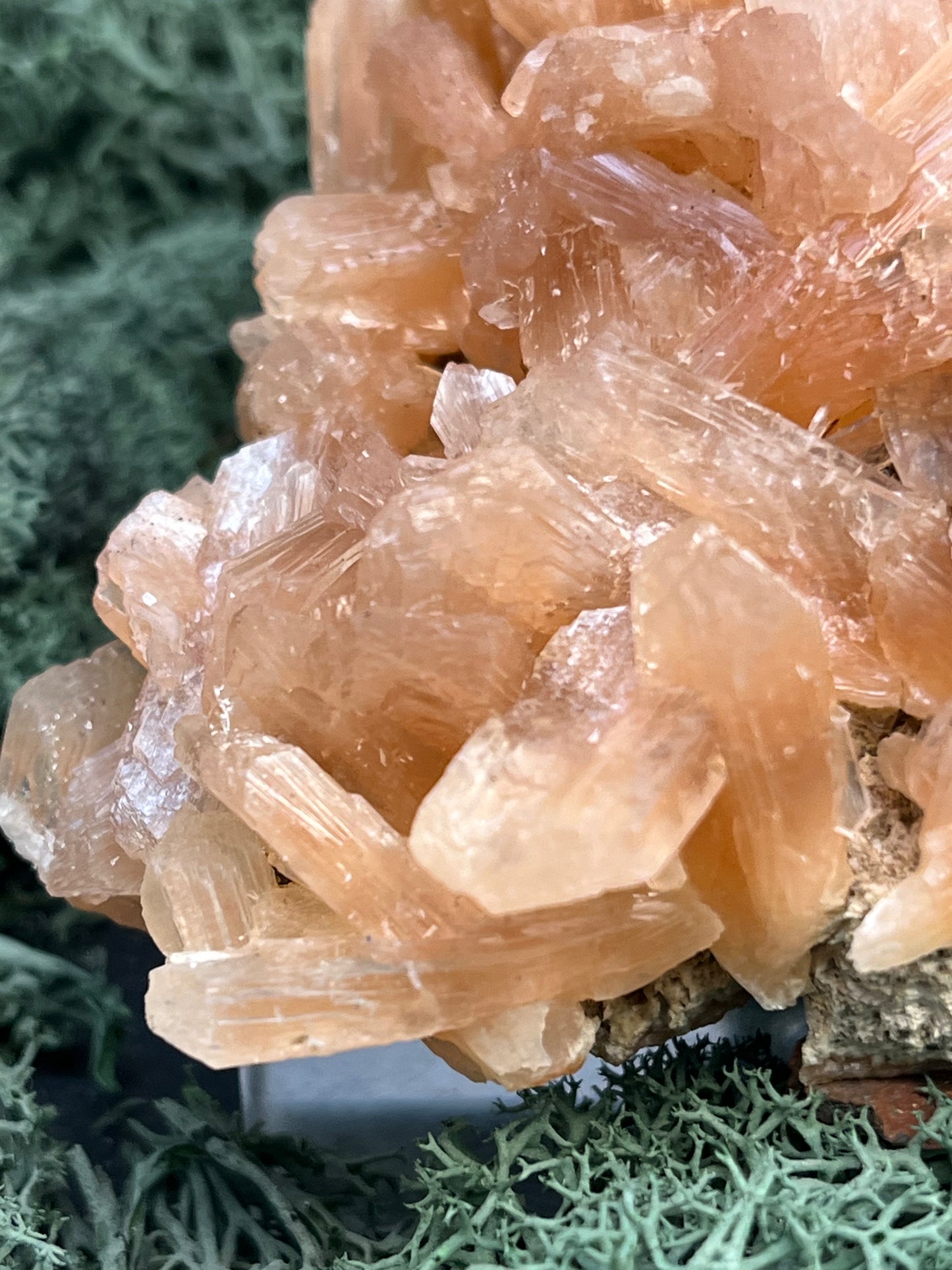 Stilbit Cluster Handstufe auf Zeolith aus Indien (180g) - viele grosse Kristalle - crystal paradise