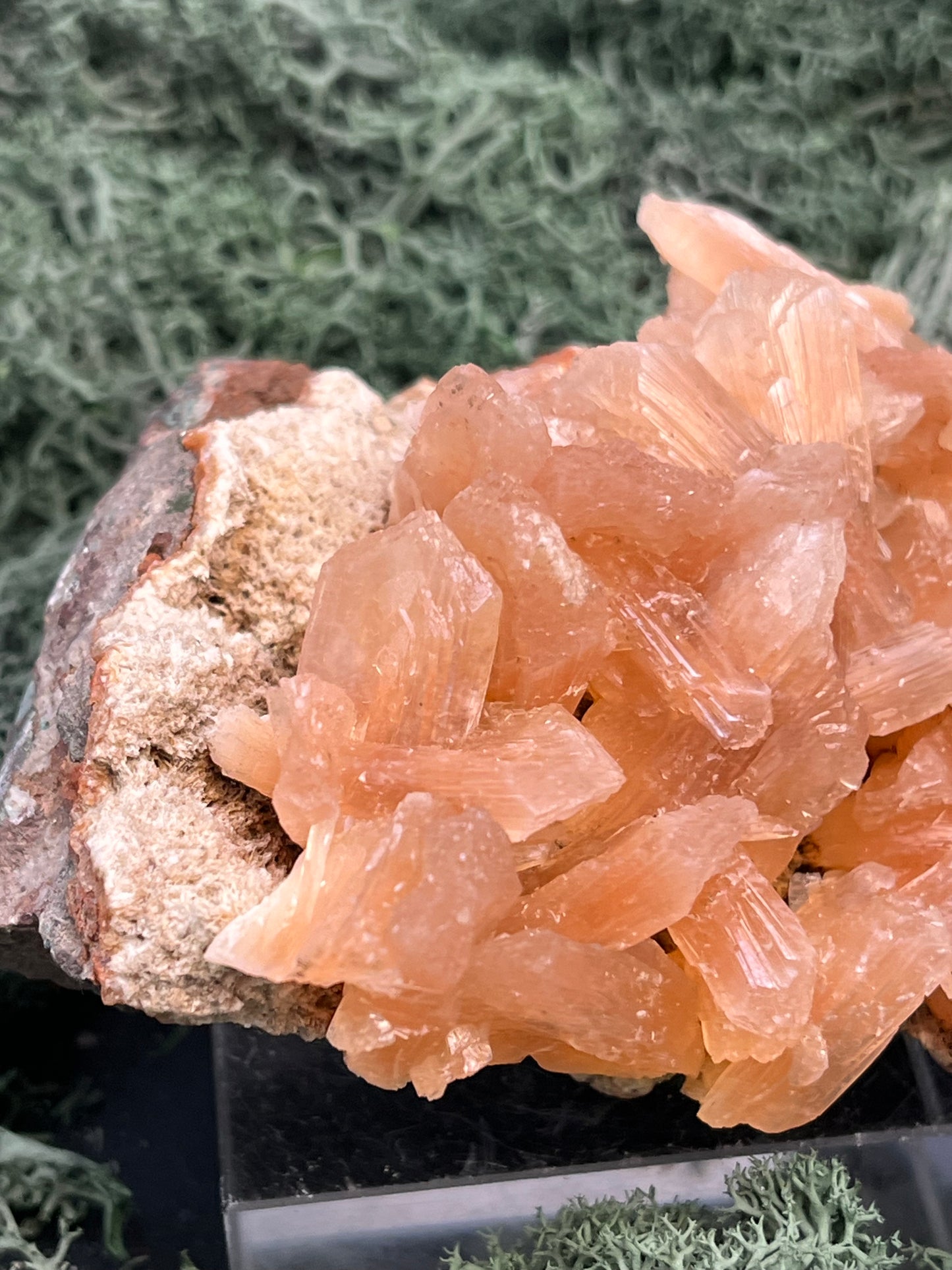Stilbit Cluster Handstufe auf Zeolith aus Indien (180g) - viele grosse Kristalle - crystal paradise
