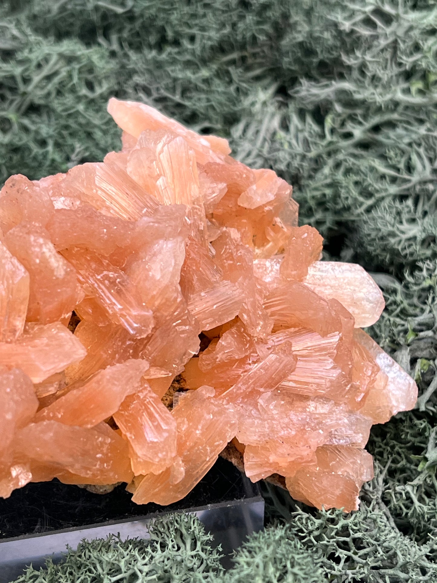 Stilbit Cluster Handstufe auf Zeolith aus Indien (180g) - viele grosse Kristalle - crystal paradise