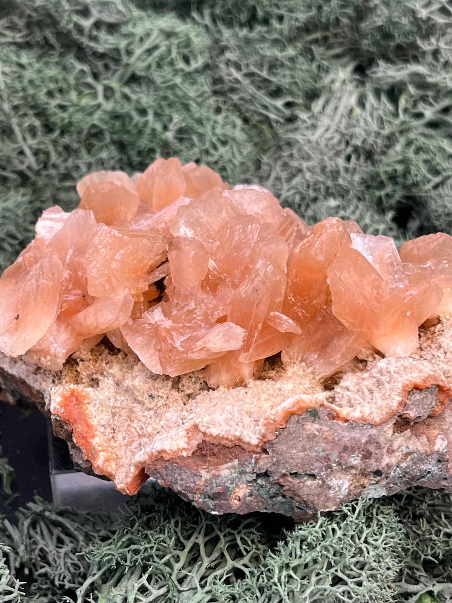 Stilbit Cluster Handstufe auf Zeolith aus Indien (180g) - viele grosse Kristalle - crystal paradise