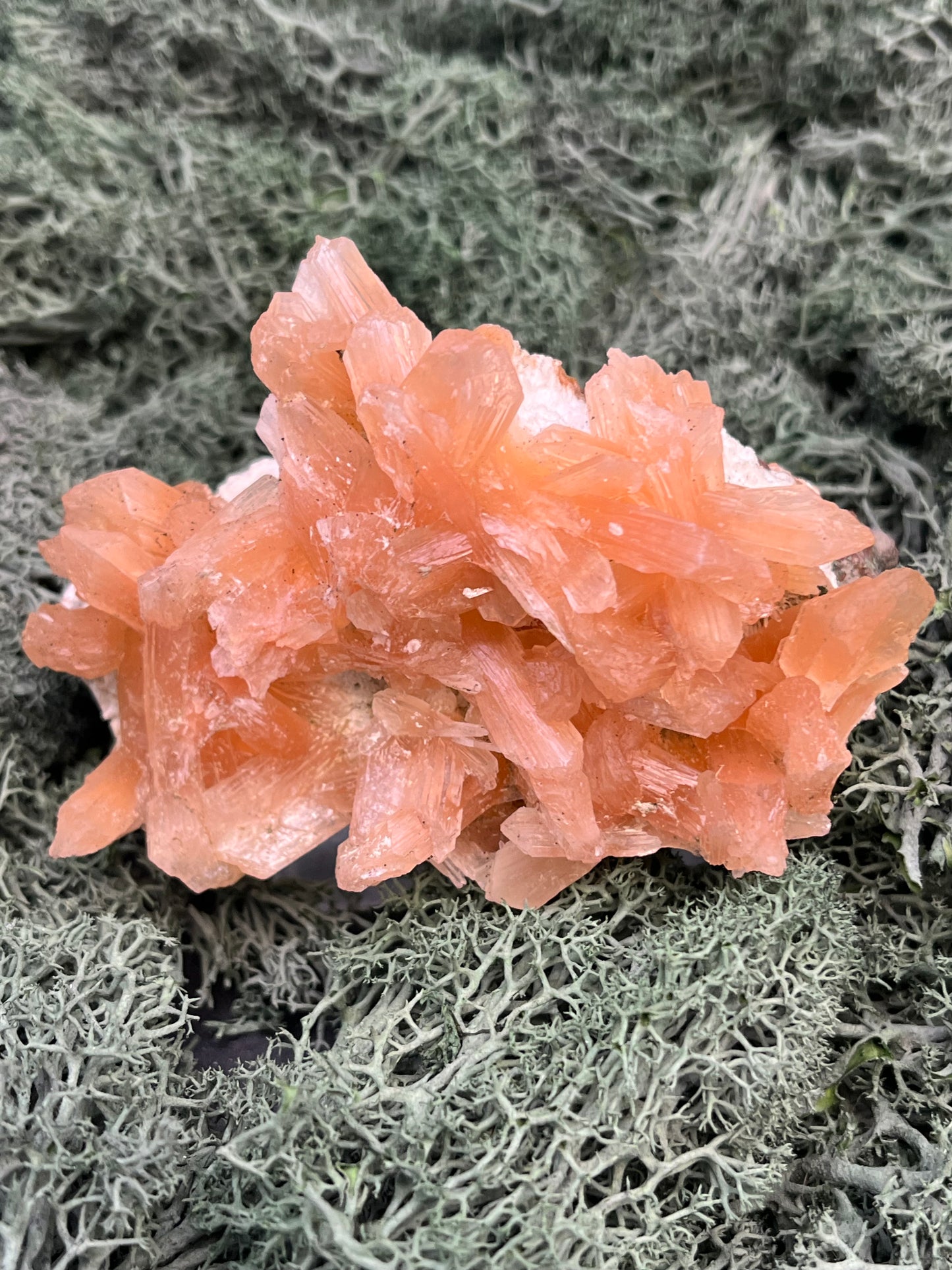 Stilbit Cluster Handstufe auf Zeolith aus Indien (193g) - viele grosse Kristalle - crystal paradise