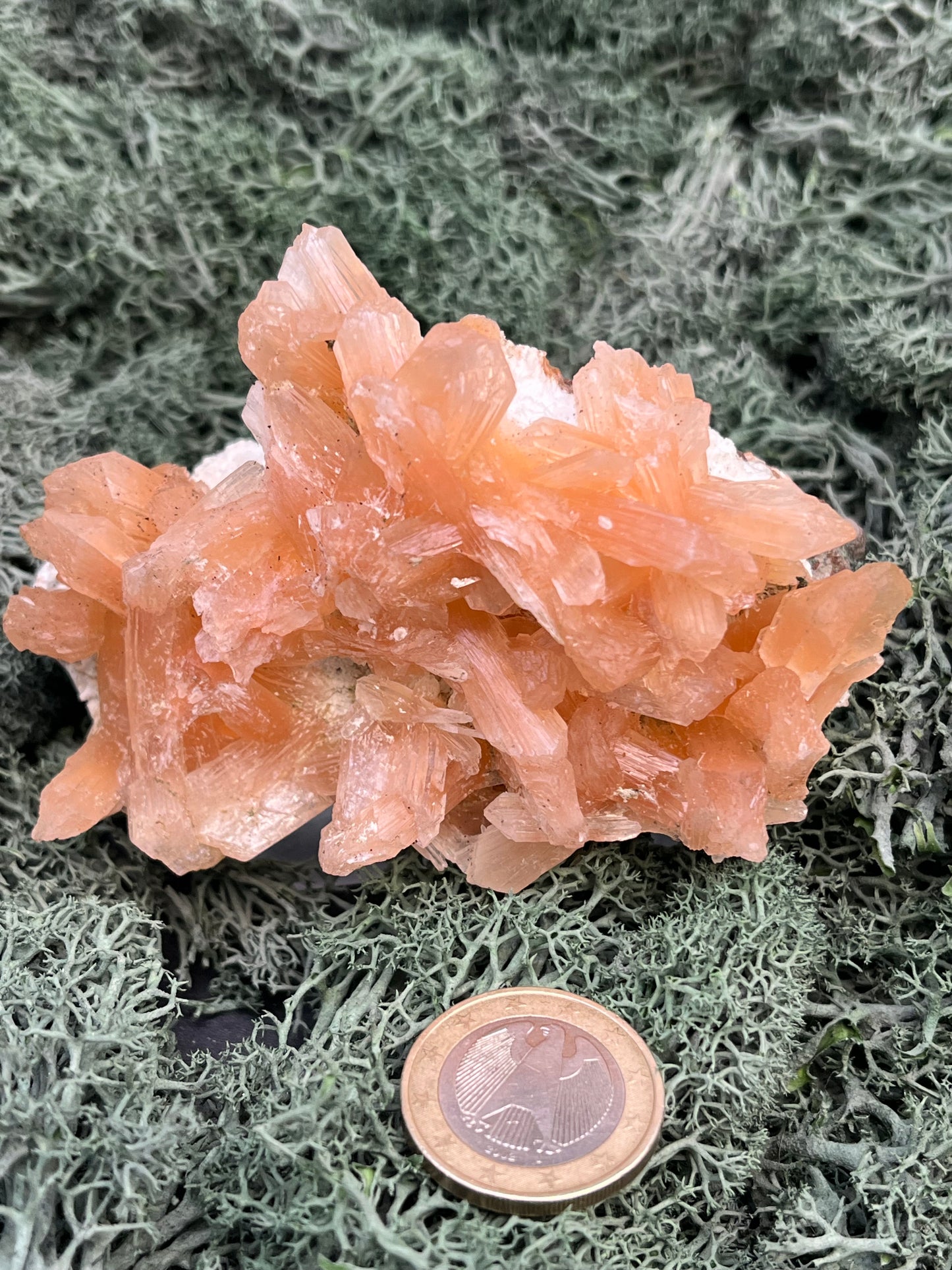 Stilbit Cluster Handstufe auf Zeolith aus Indien (193g) - viele grosse Kristalle - crystal paradise