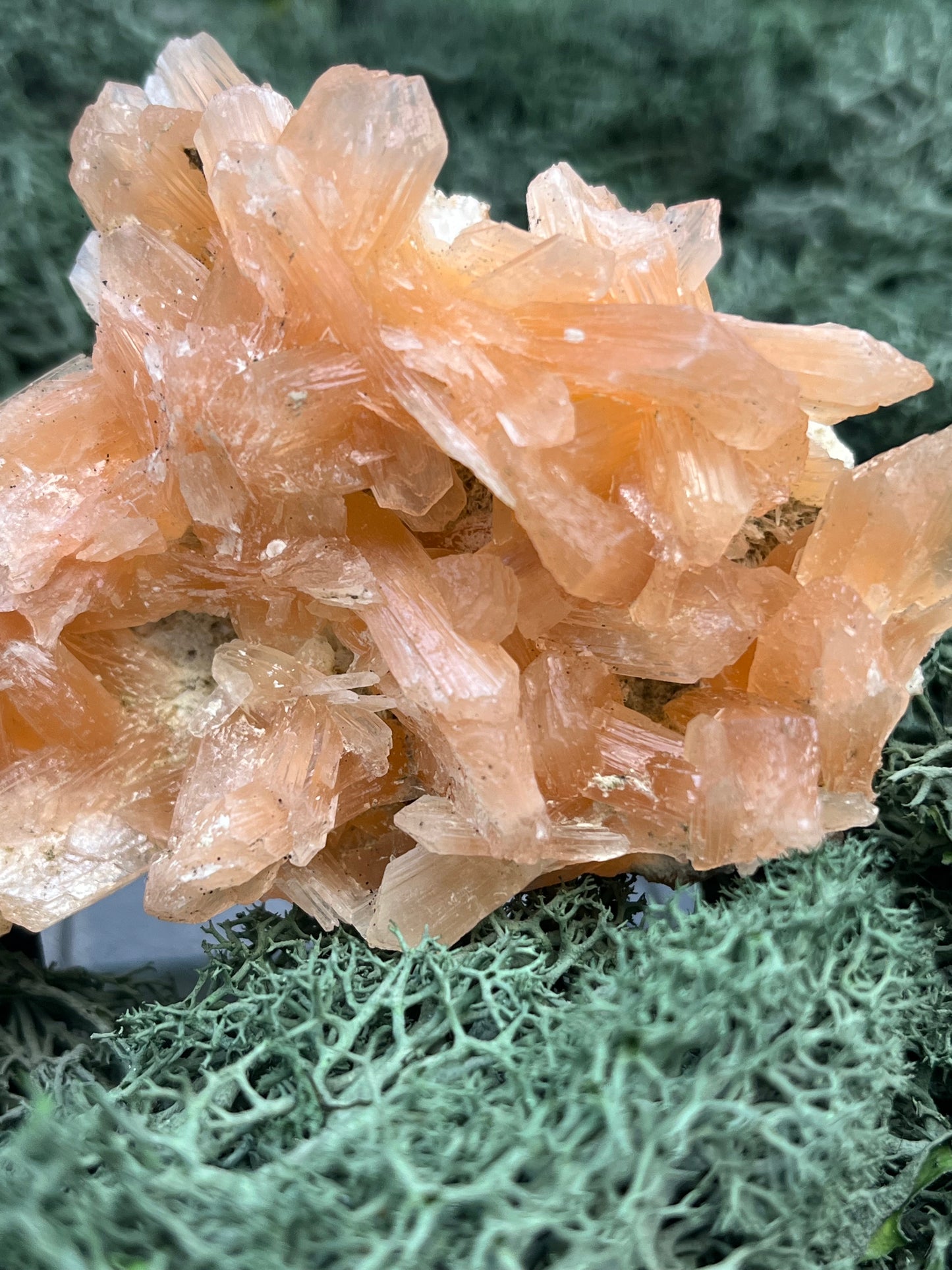 Stilbit Cluster Handstufe auf Zeolith aus Indien (193g) - viele grosse Kristalle - crystal paradise