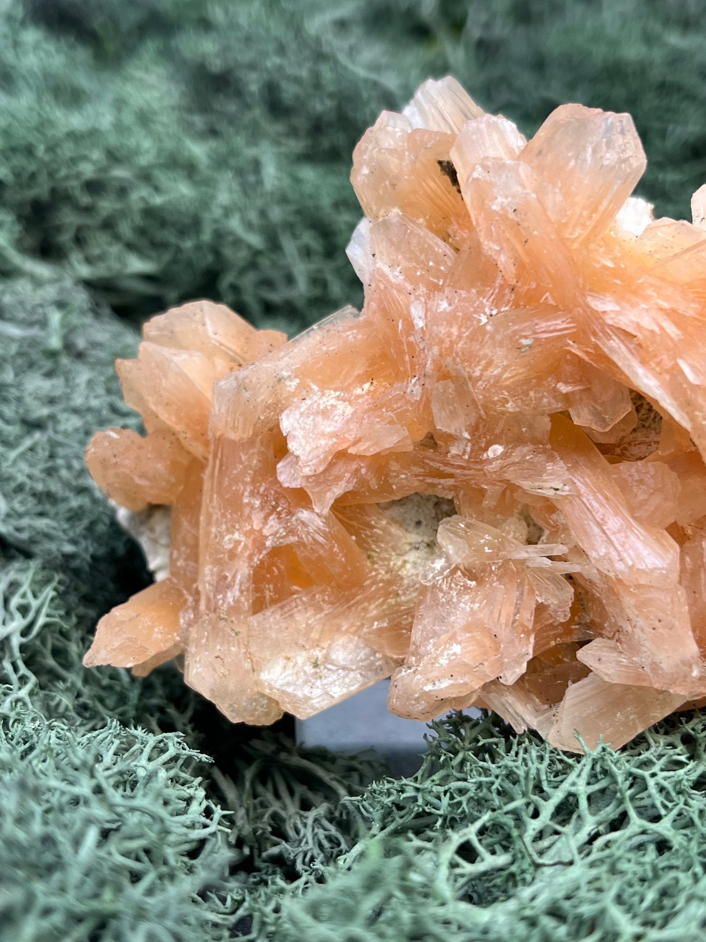 Stilbit Cluster Handstufe auf Zeolith aus Indien (193g) - viele grosse Kristalle - crystal paradise