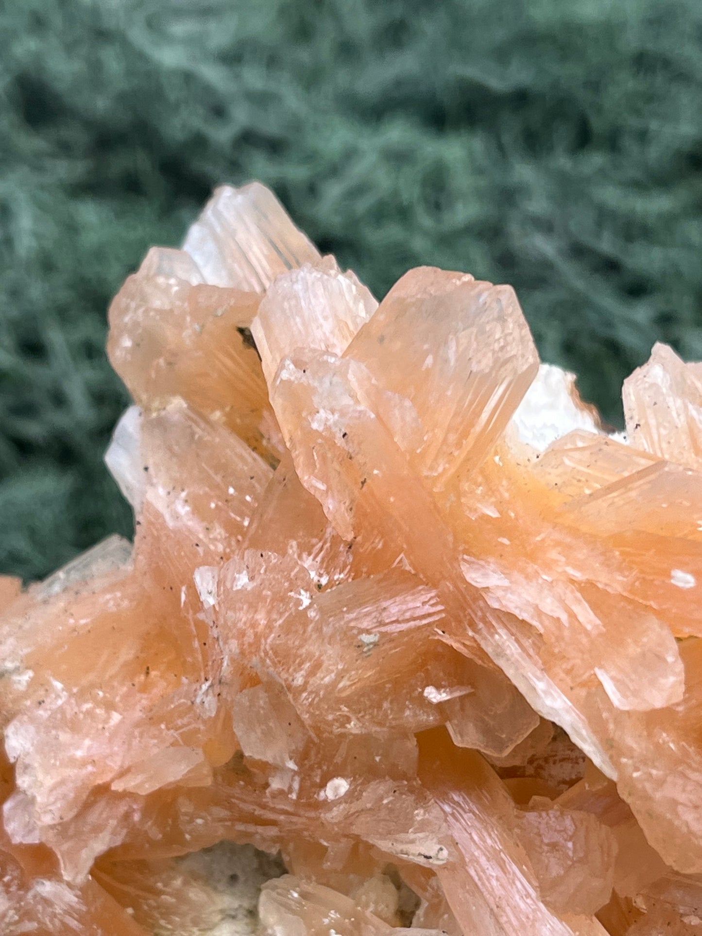Stilbit Cluster Handstufe auf Zeolith aus Indien (193g) - viele grosse Kristalle - crystal paradise