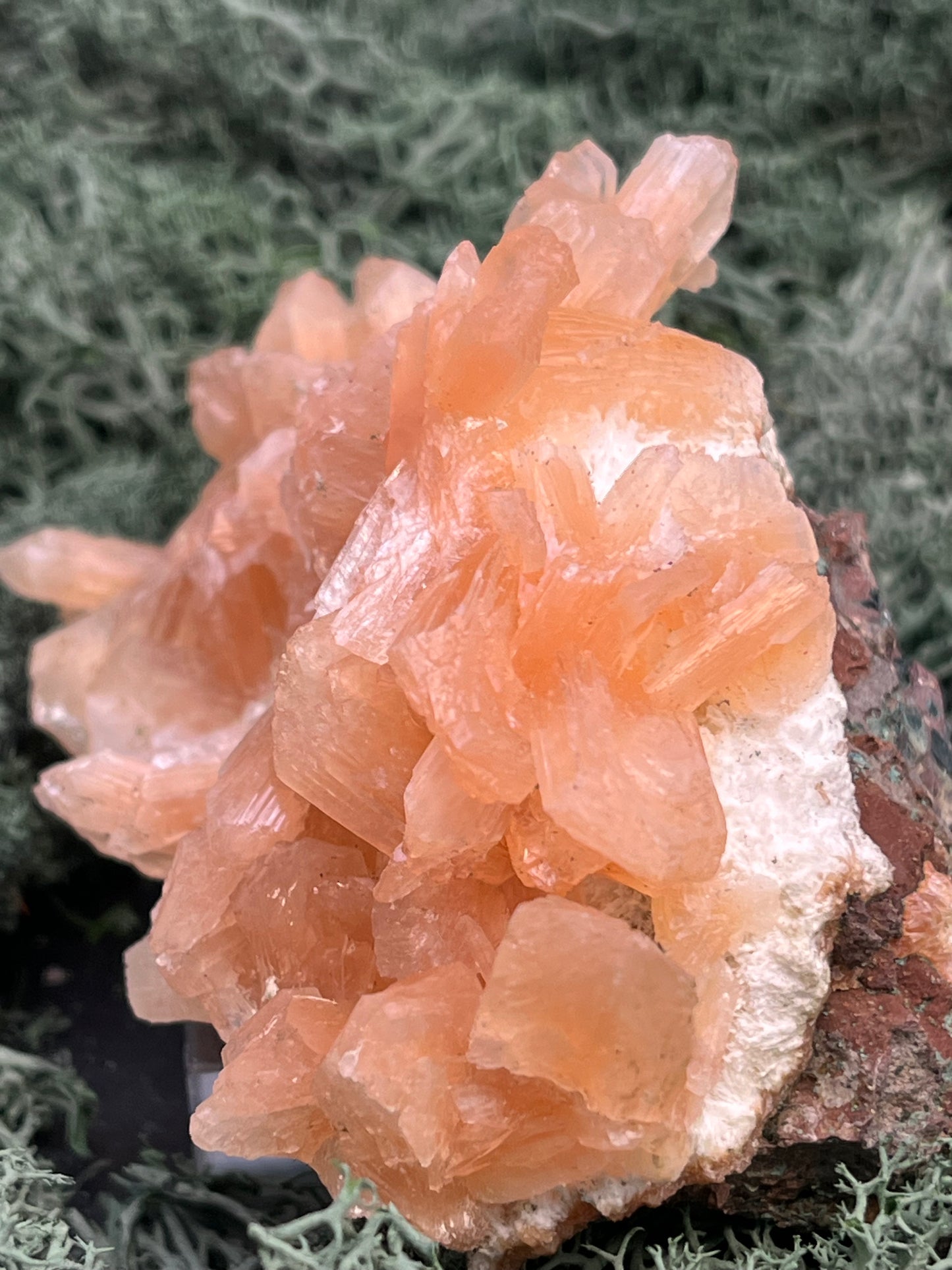 Stilbit Cluster Handstufe auf Zeolith aus Indien (193g) - viele grosse Kristalle - crystal paradise