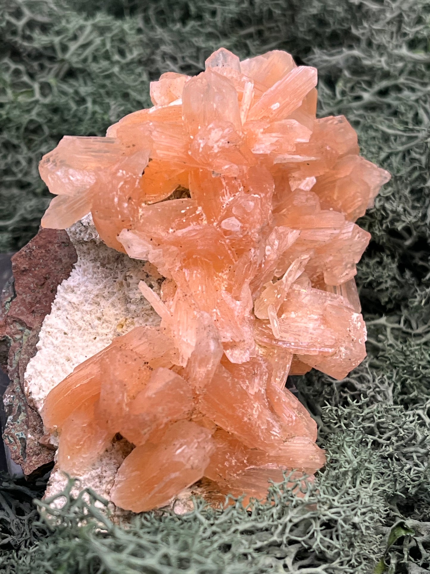 Stilbit Cluster Handstufe auf Zeolith aus Indien (193g) - viele grosse Kristalle - crystal paradise